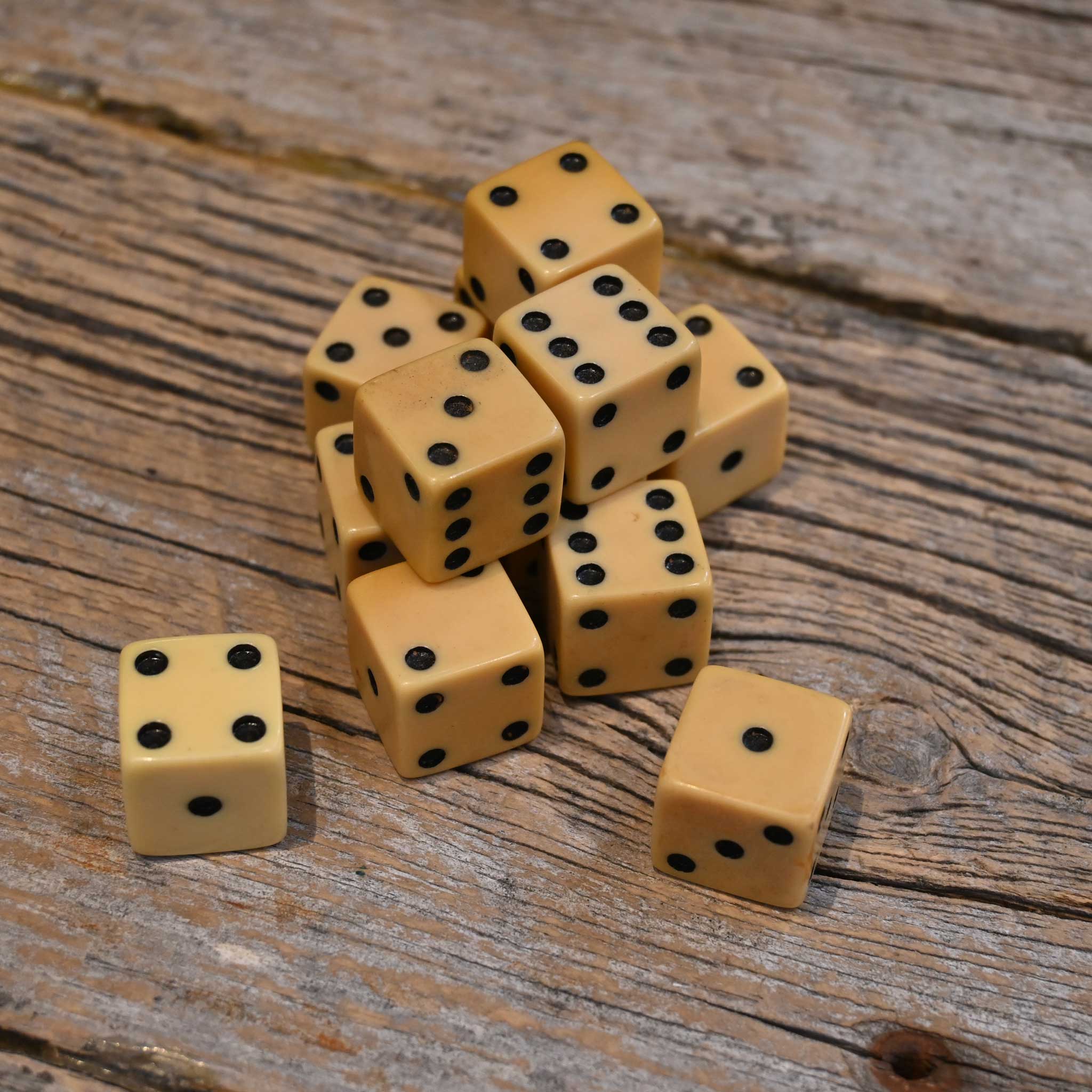 12 Grained Ivory Dice in Original Box - Image 2
