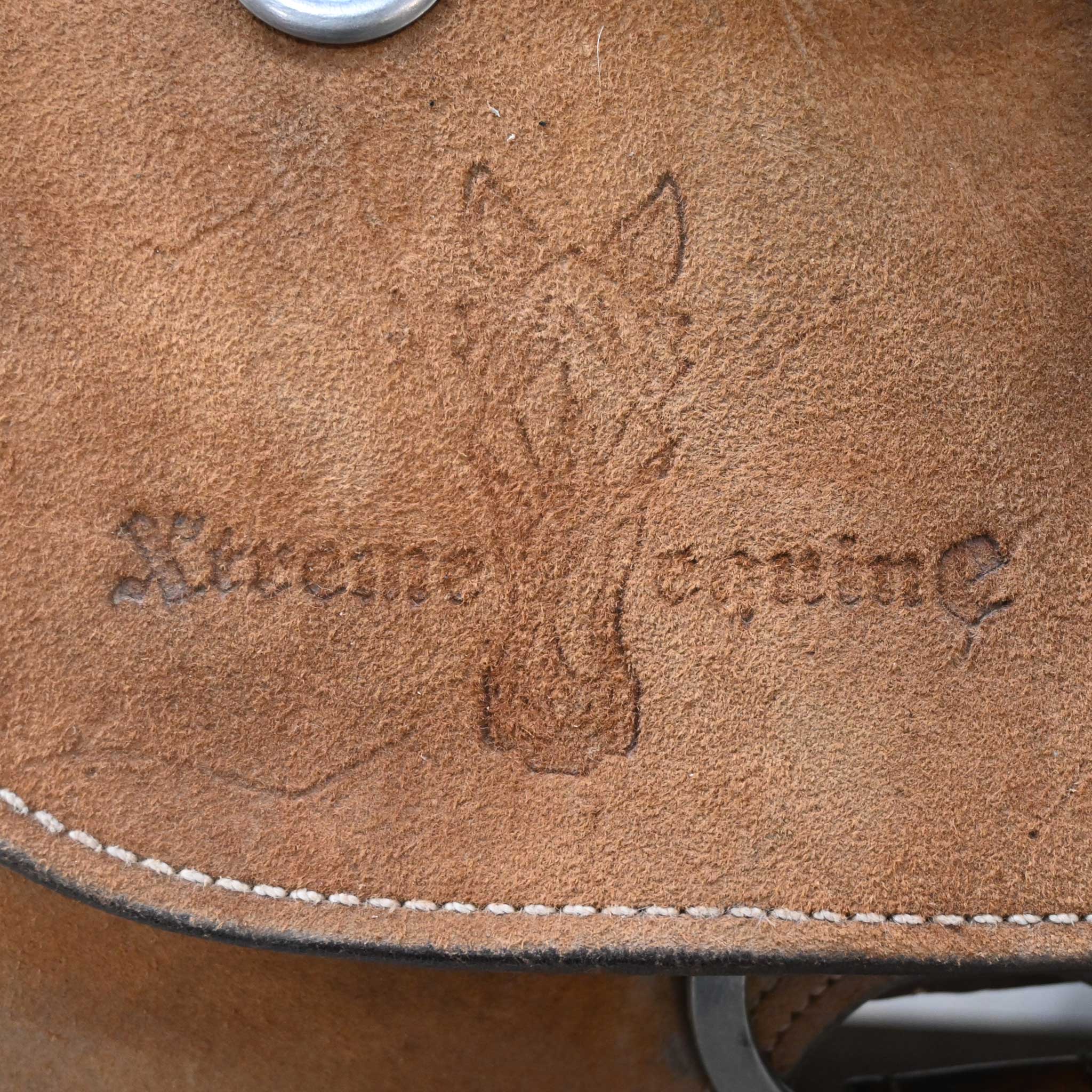 14.5" USED XTREME EQUINE CALF ROPING SADDLE - Image 4