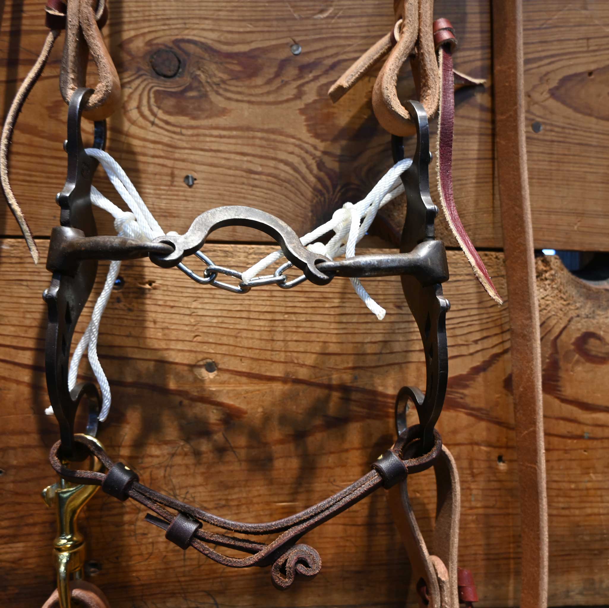 3R Ported Chain Bridle Rig w/ Single Ear Headstall - Image 2