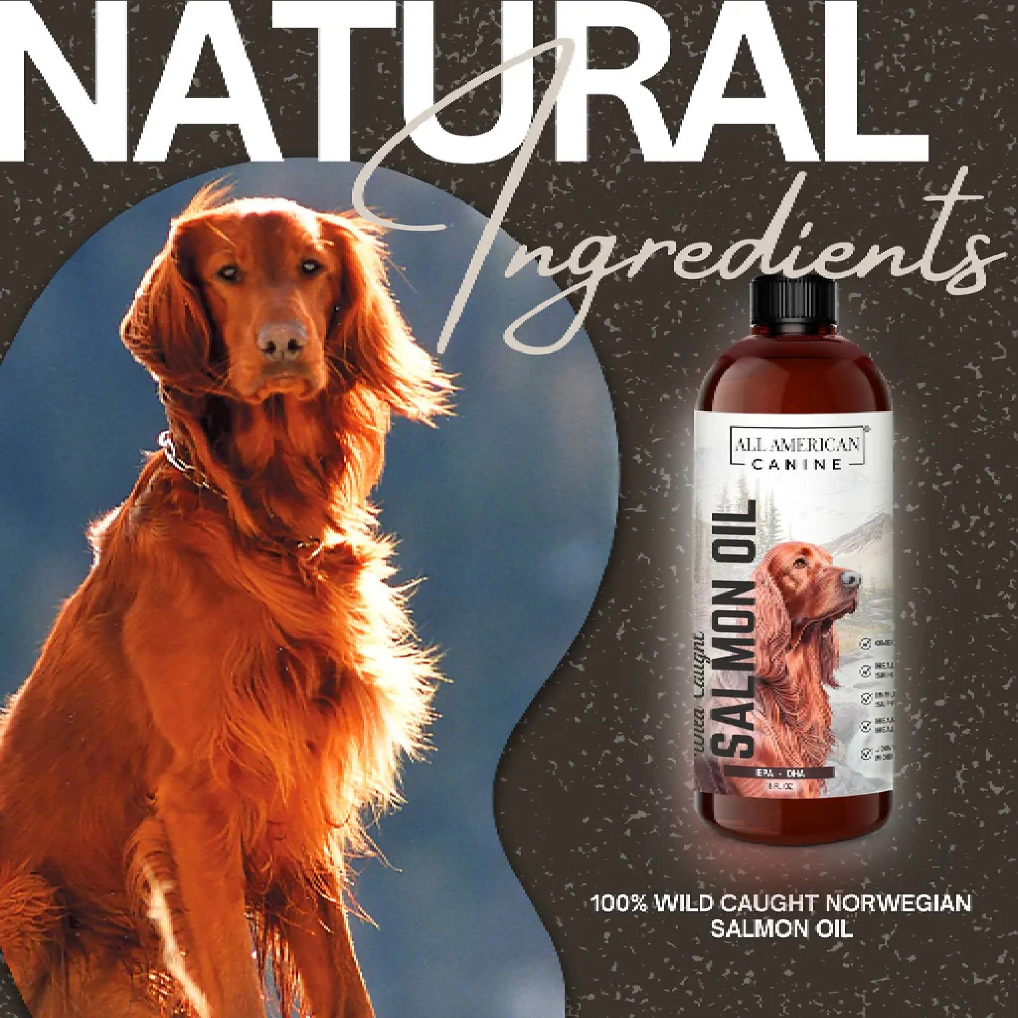 All American Canine Salmon Oil - Image 4