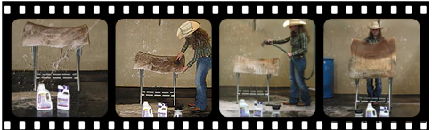 EQ Solutions All Surface Wash - Image 3