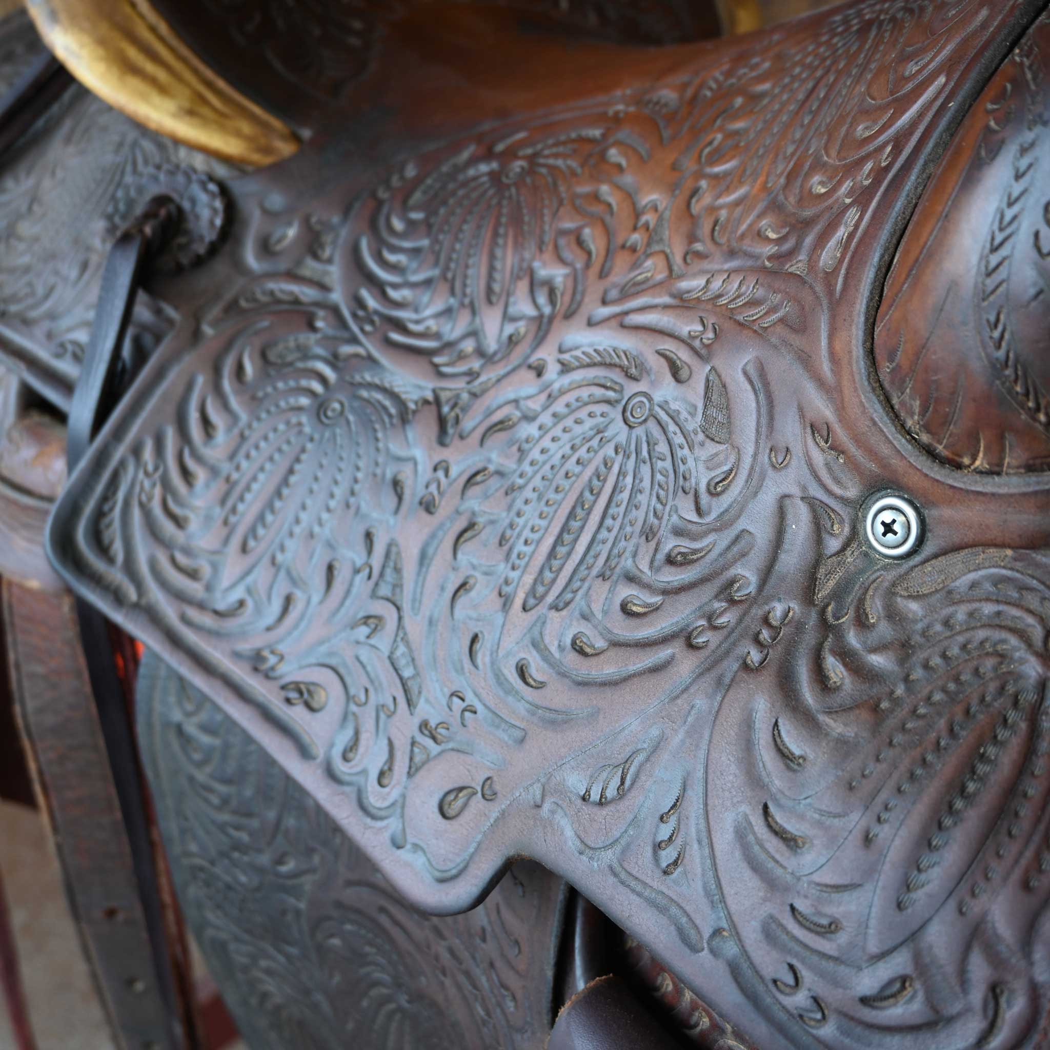 Antique Carl Darr Saddle - Image 4