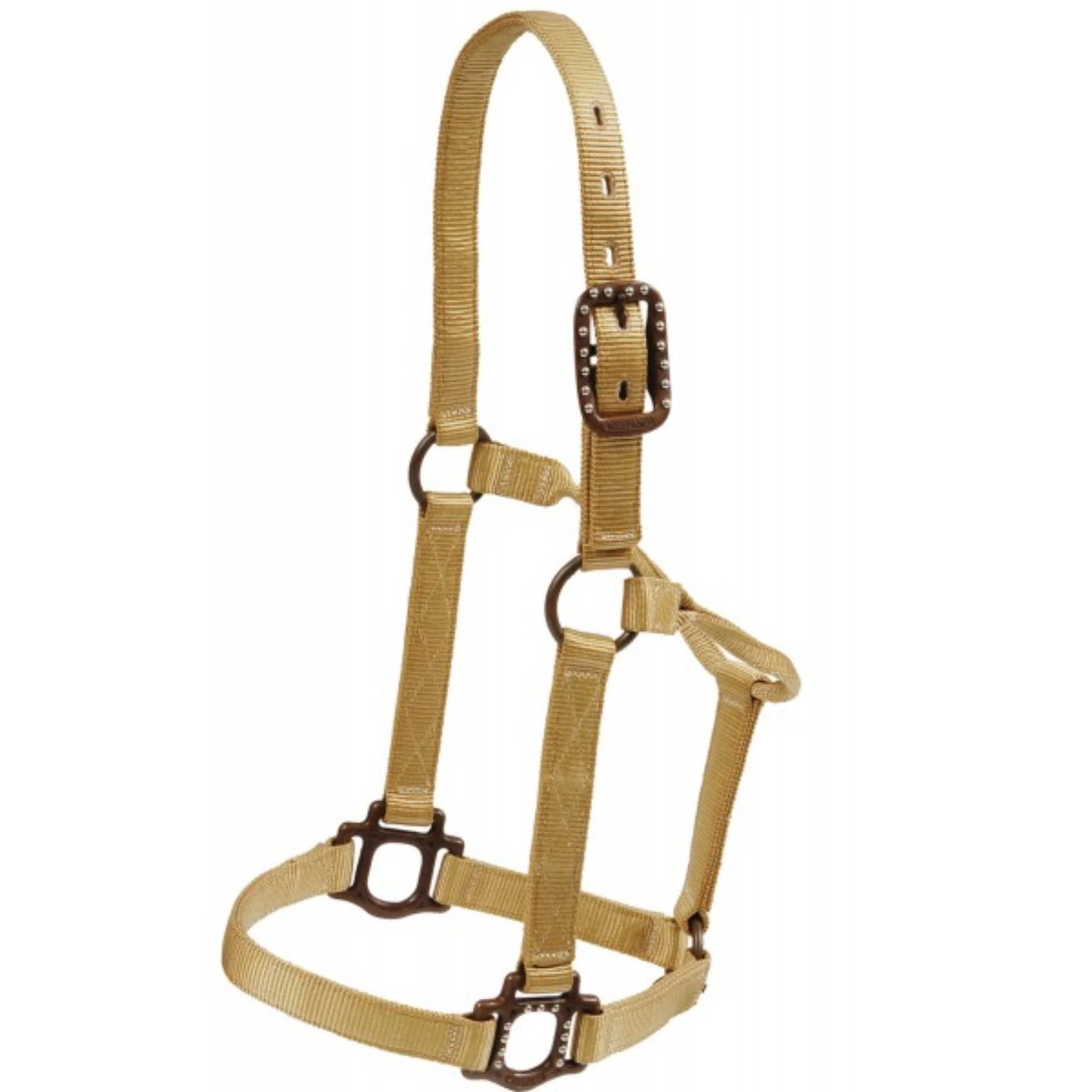 Antique Dot Halter - Image 5