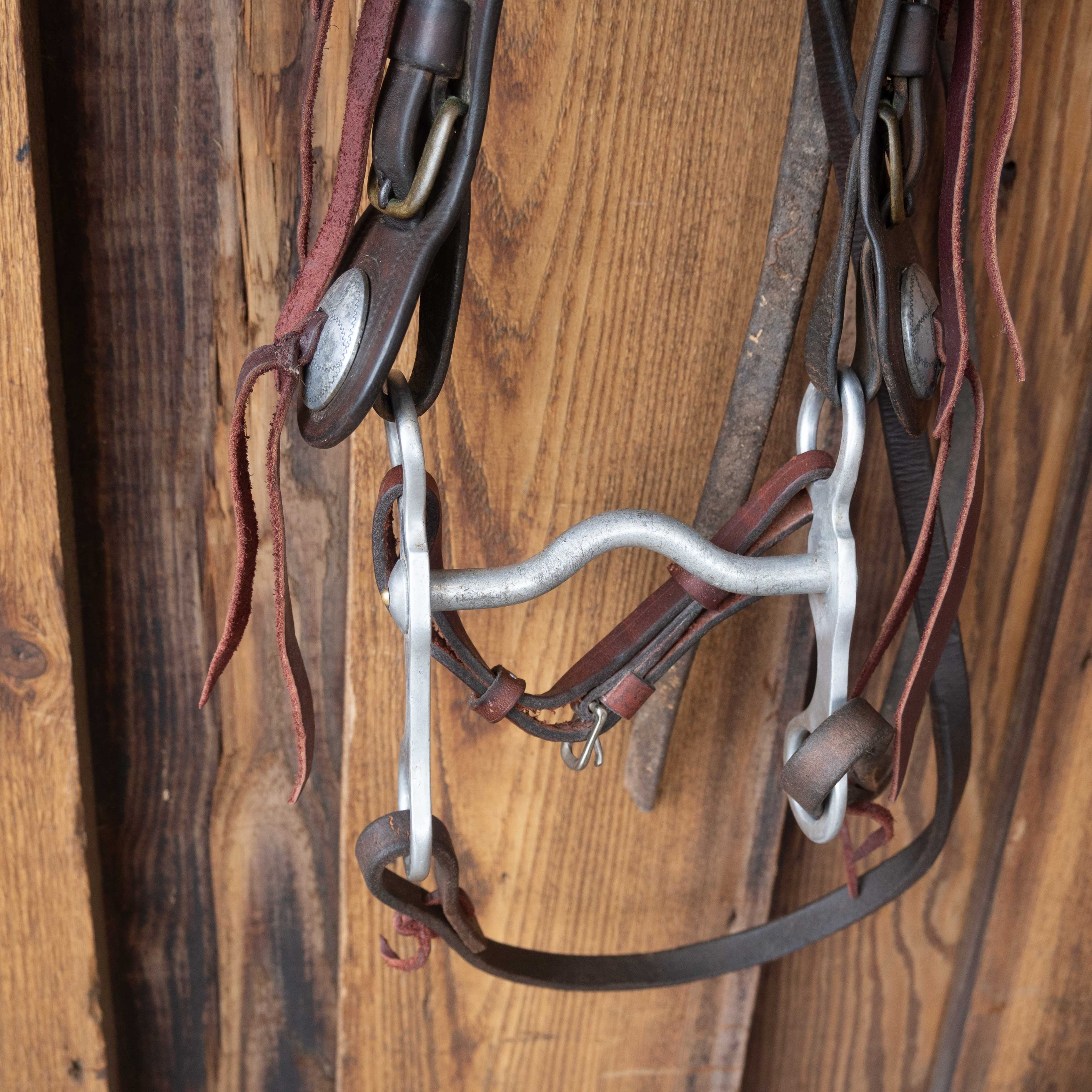Vintage Bridle Rig w/Glass Horse Head Rosettes