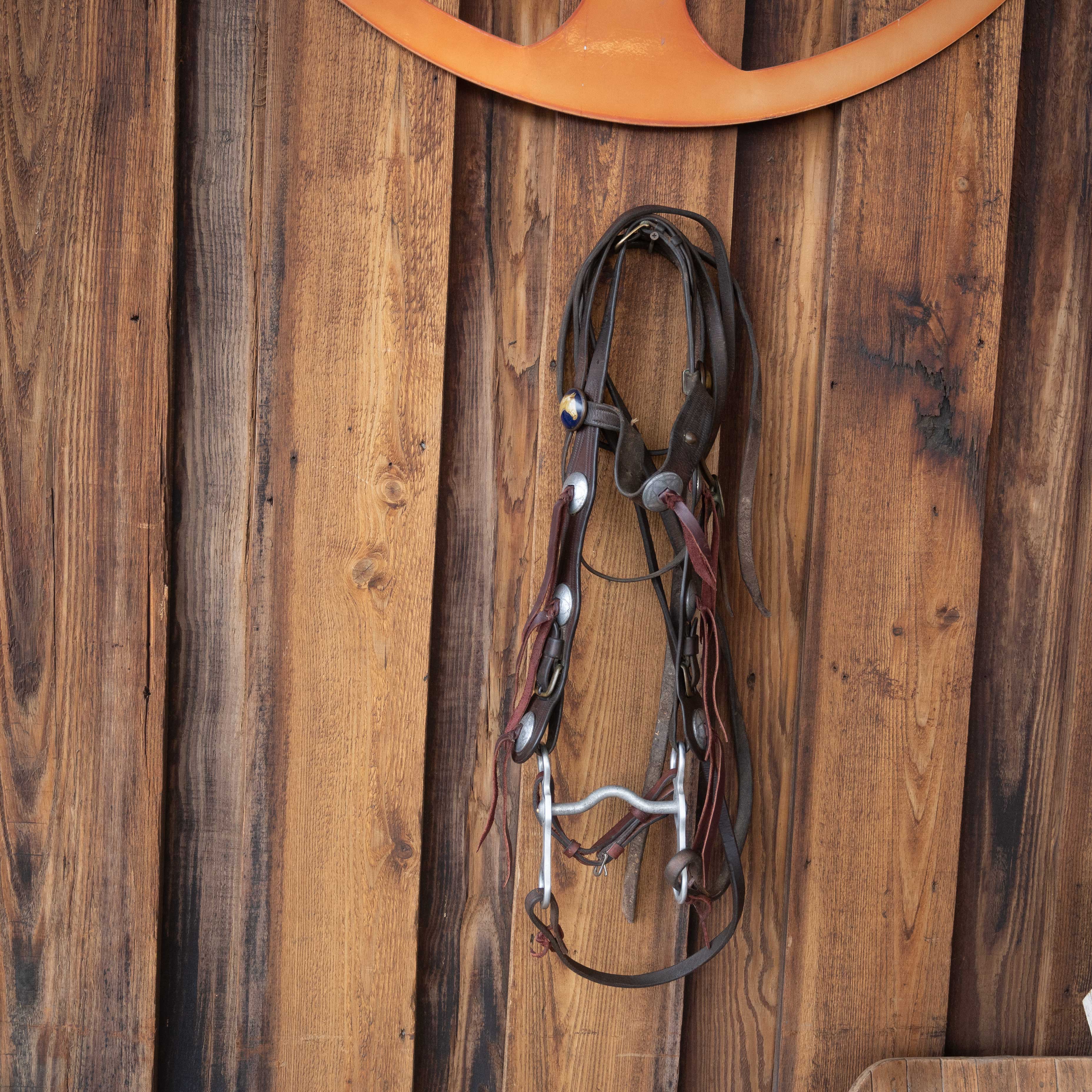 Vintage Bridle Rig w/Glass Horse Head Rosettes - Image 2