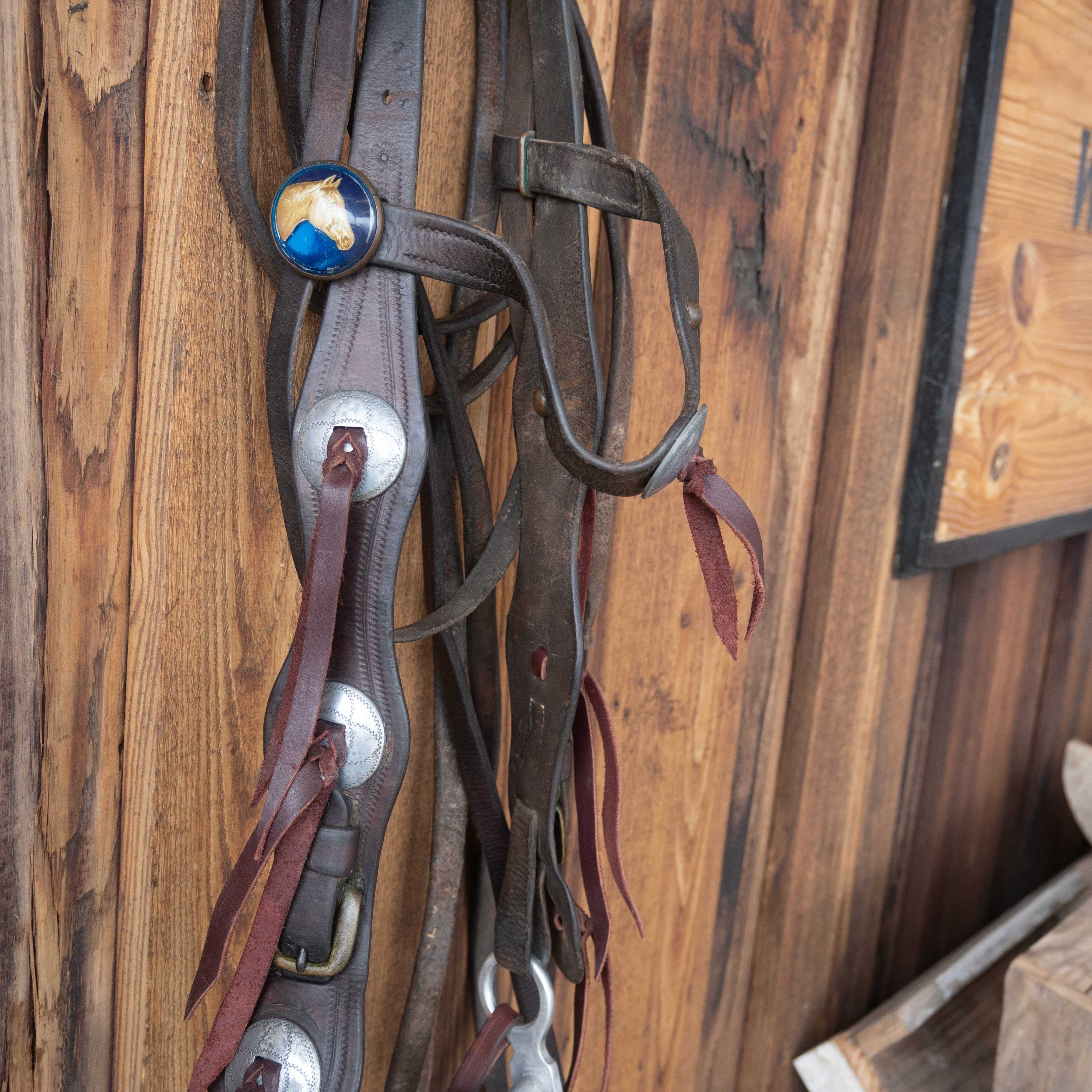 Vintage Bridle Rig w/Glass Horse Head Rosettes - Image 3