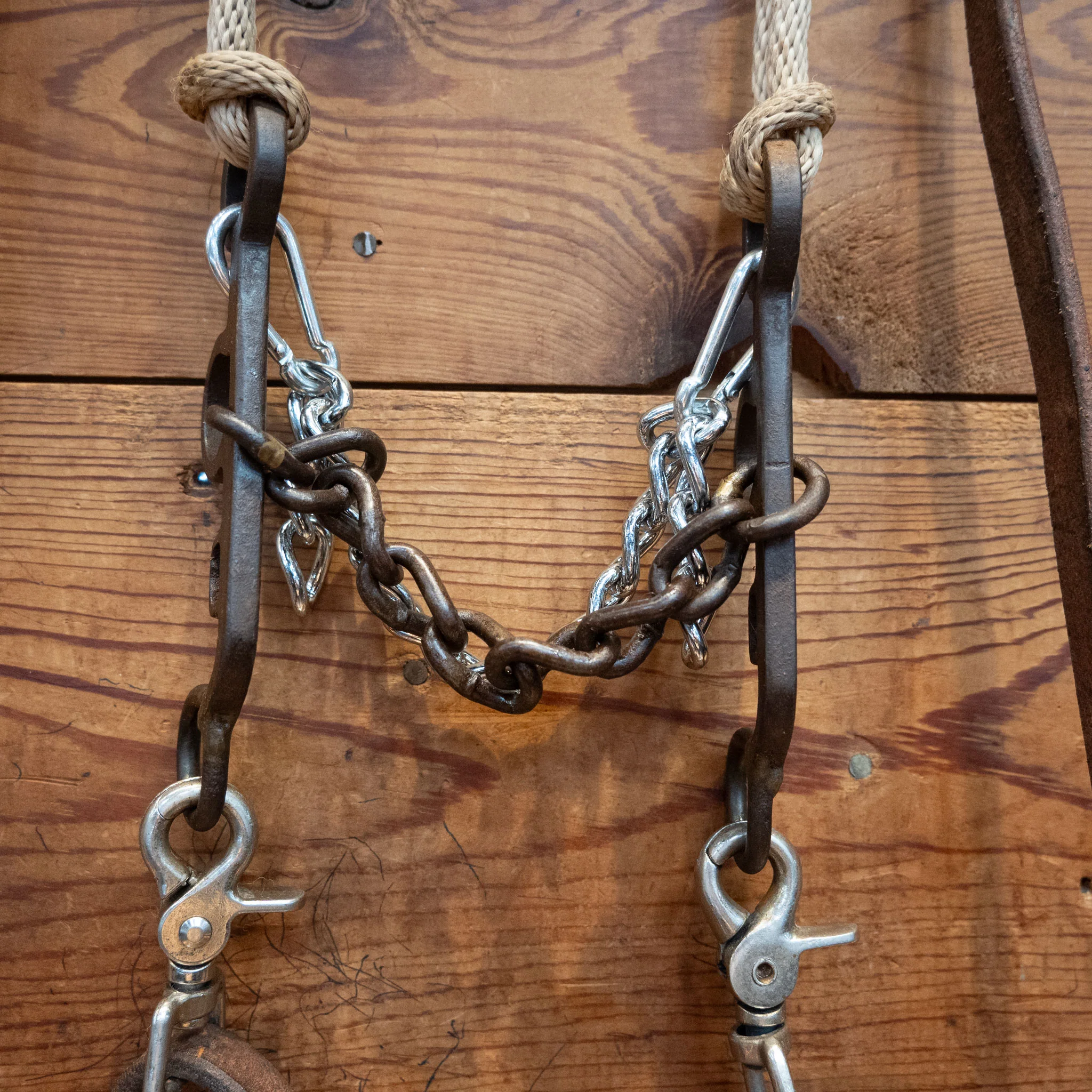 Argentine Chain Bridle Rig - Image 2