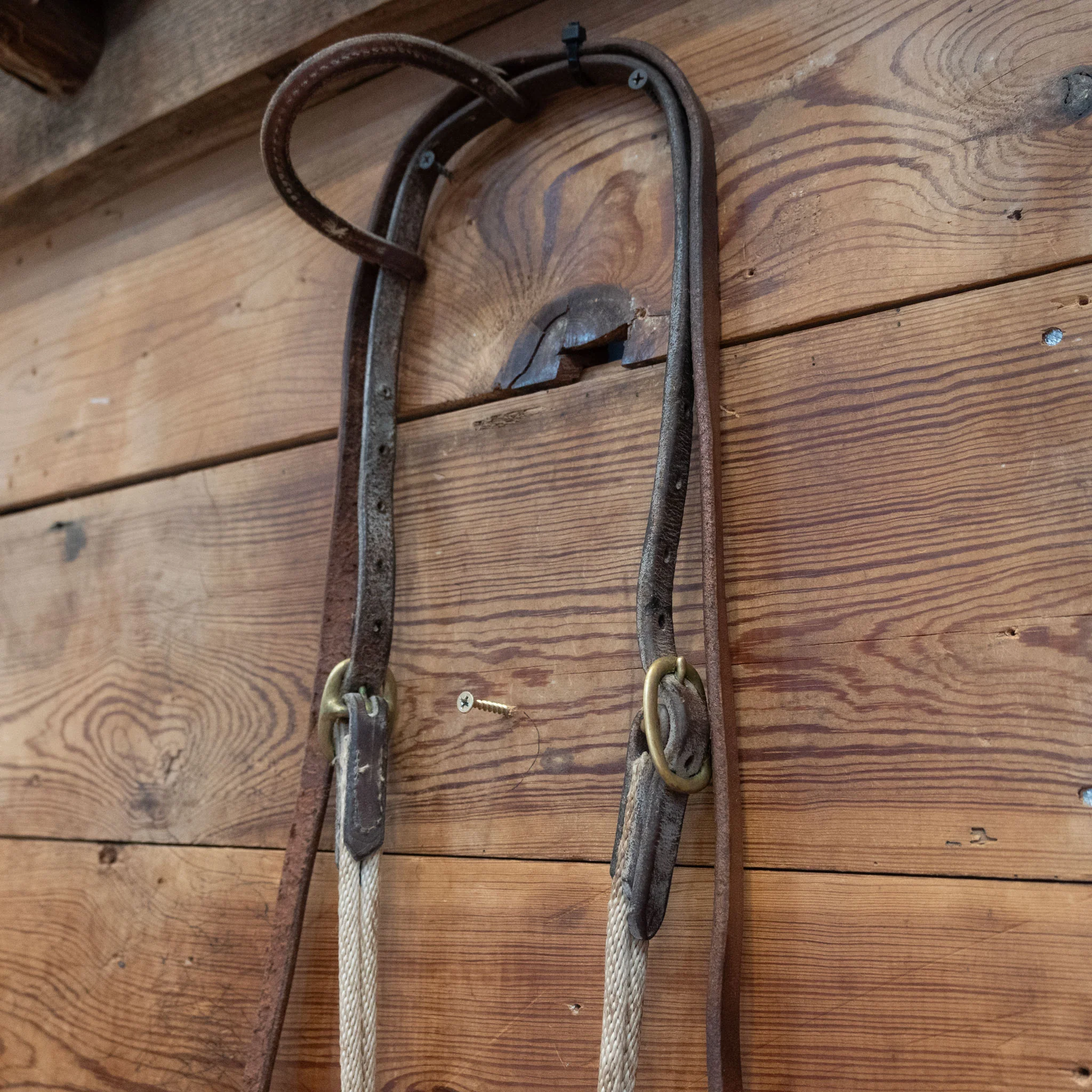 Argentine Chain Bridle Rig - Image 3
