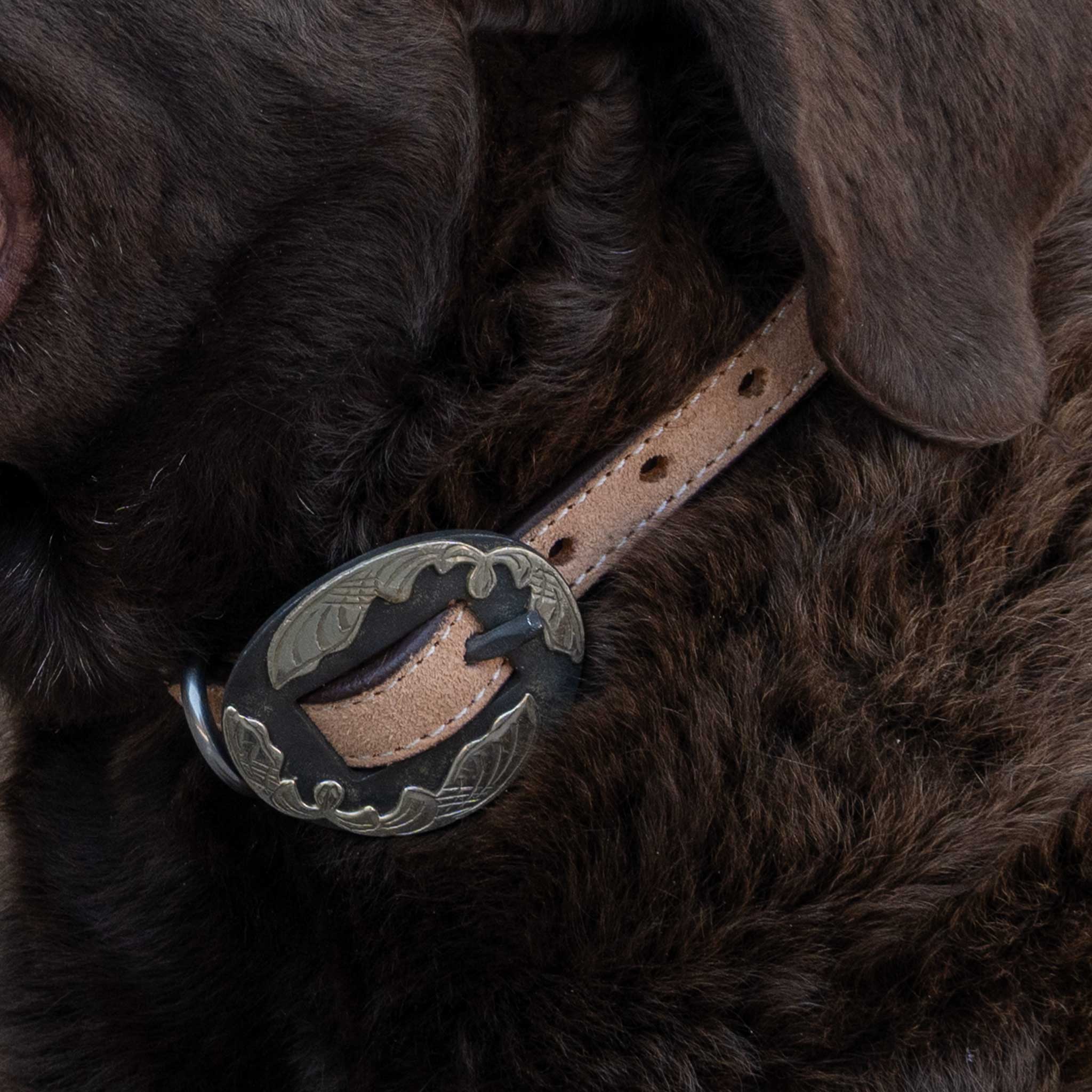 Roughout Dog Collar With Pink Buckstitch - Image 5