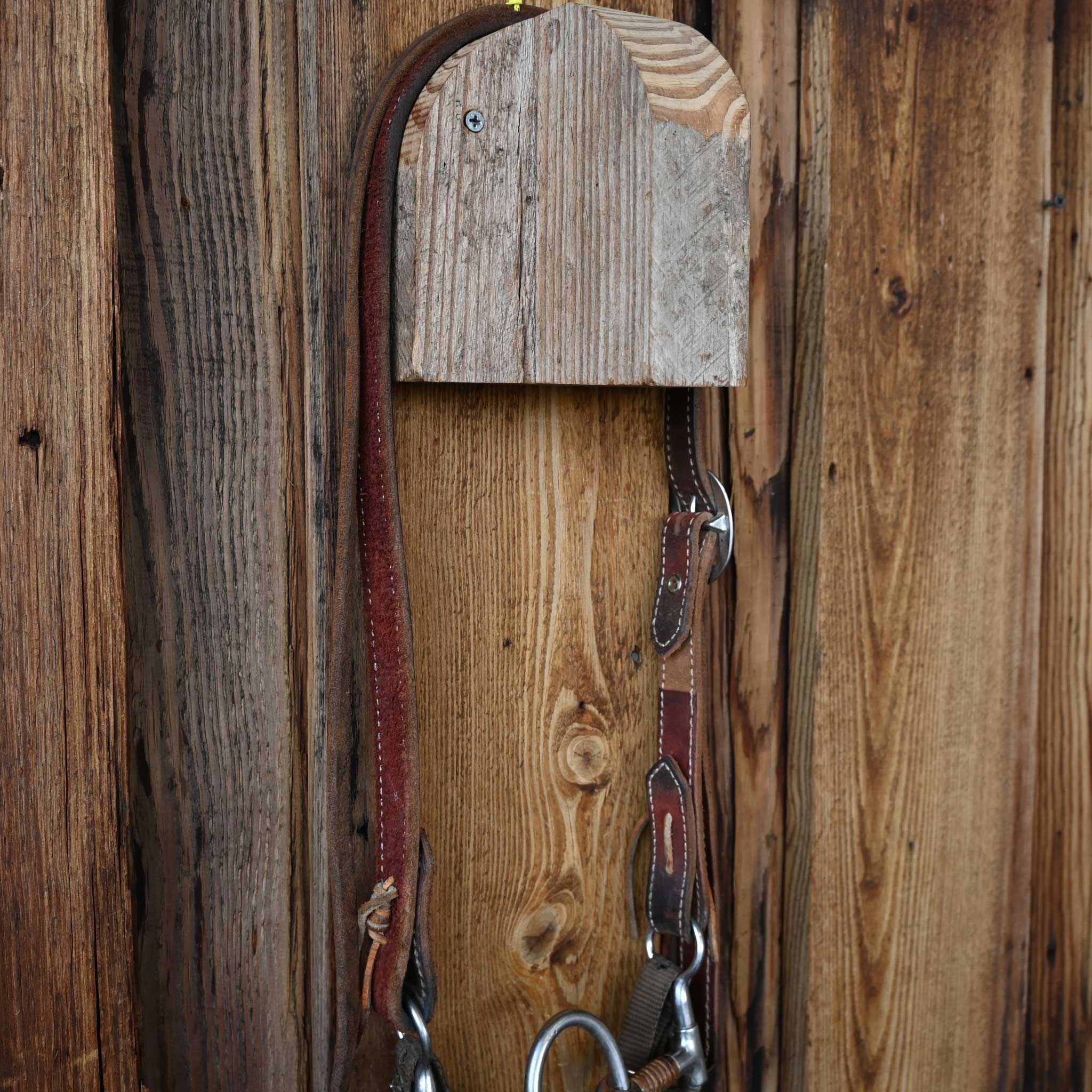 "Ben" Correction Bridle Rig w/Split Ear Headstall - Image 3