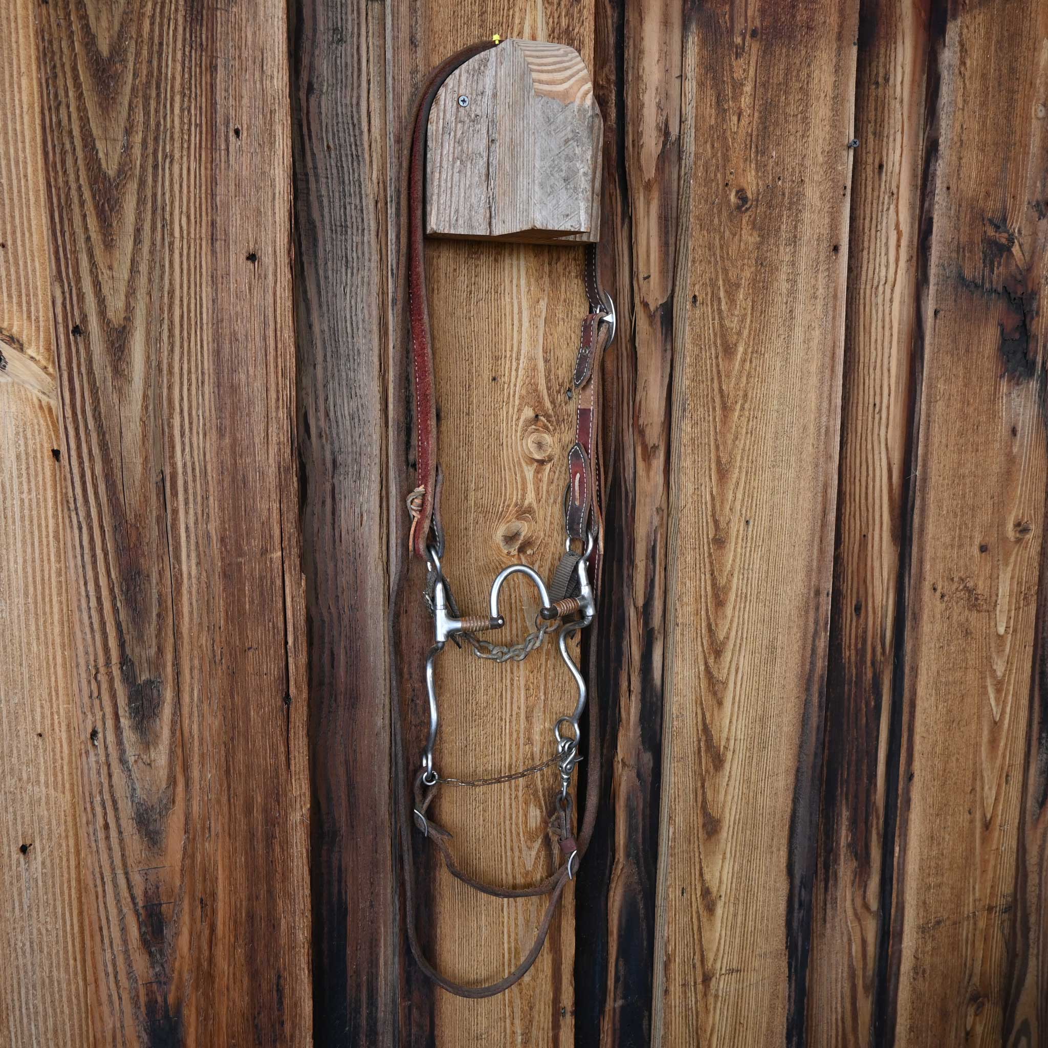 "Ben" Correction Bridle Rig w/Split Ear Headstall - Image 4