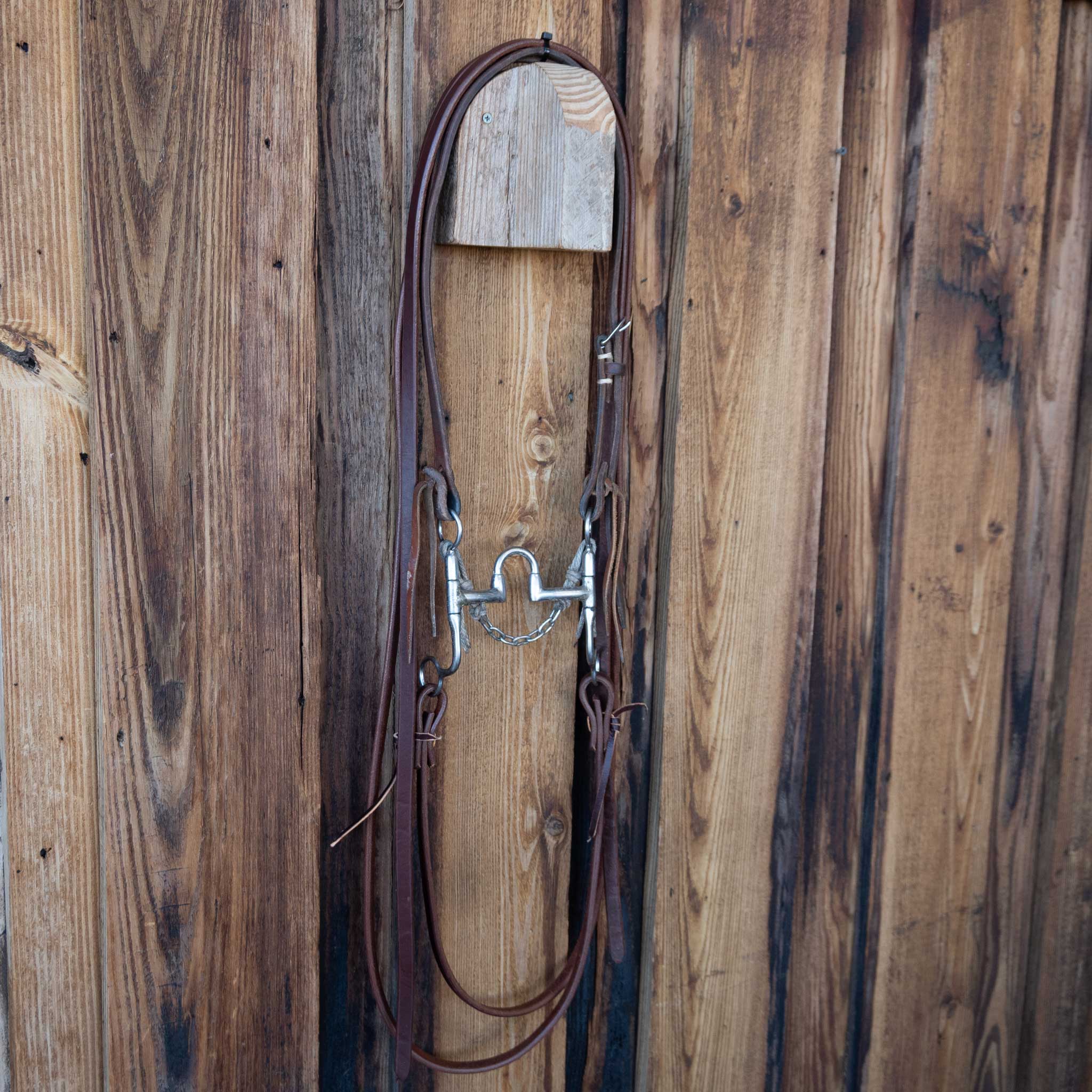 Bill Freeman Correction Bridle Rig w/Split Ear Headstall - Image 4