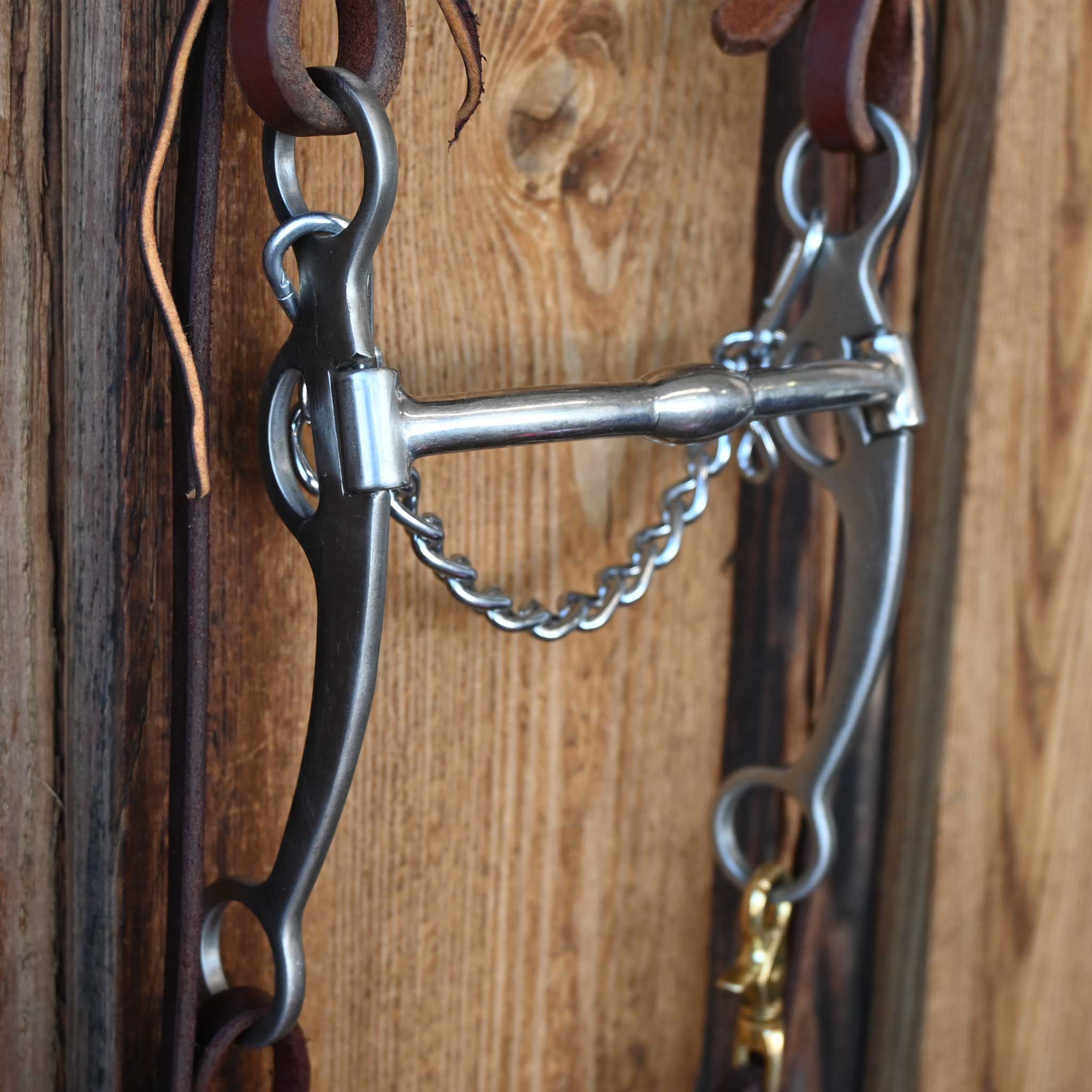 Billy Allen Bridle Rig