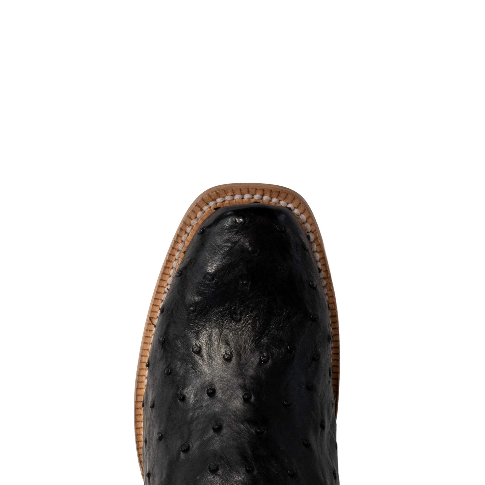 R. Watson Women's Black Full Quill Ostrich Western Boot - Image 2
