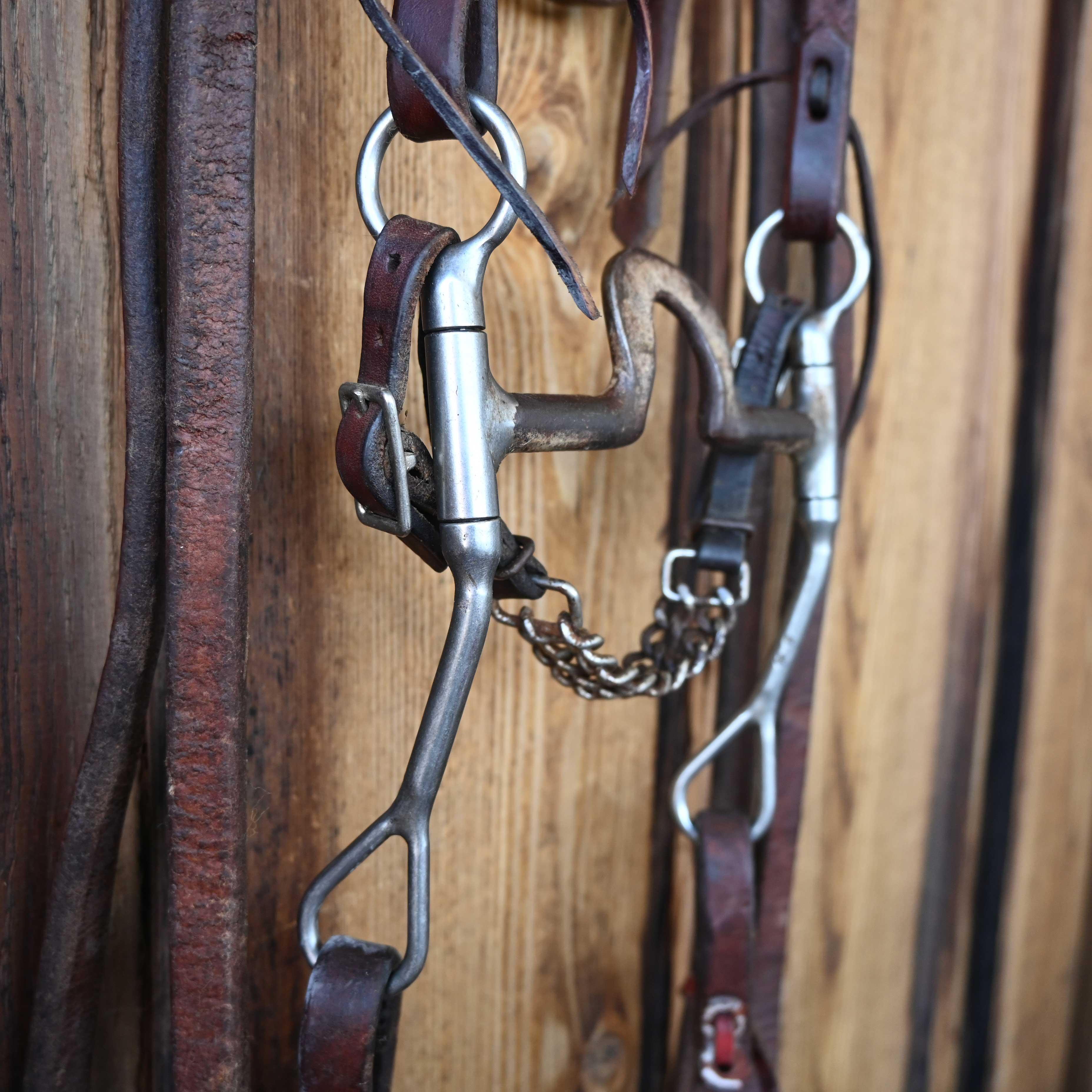 "BM" Flat Port Bridle Rig w/ Browband Headstall