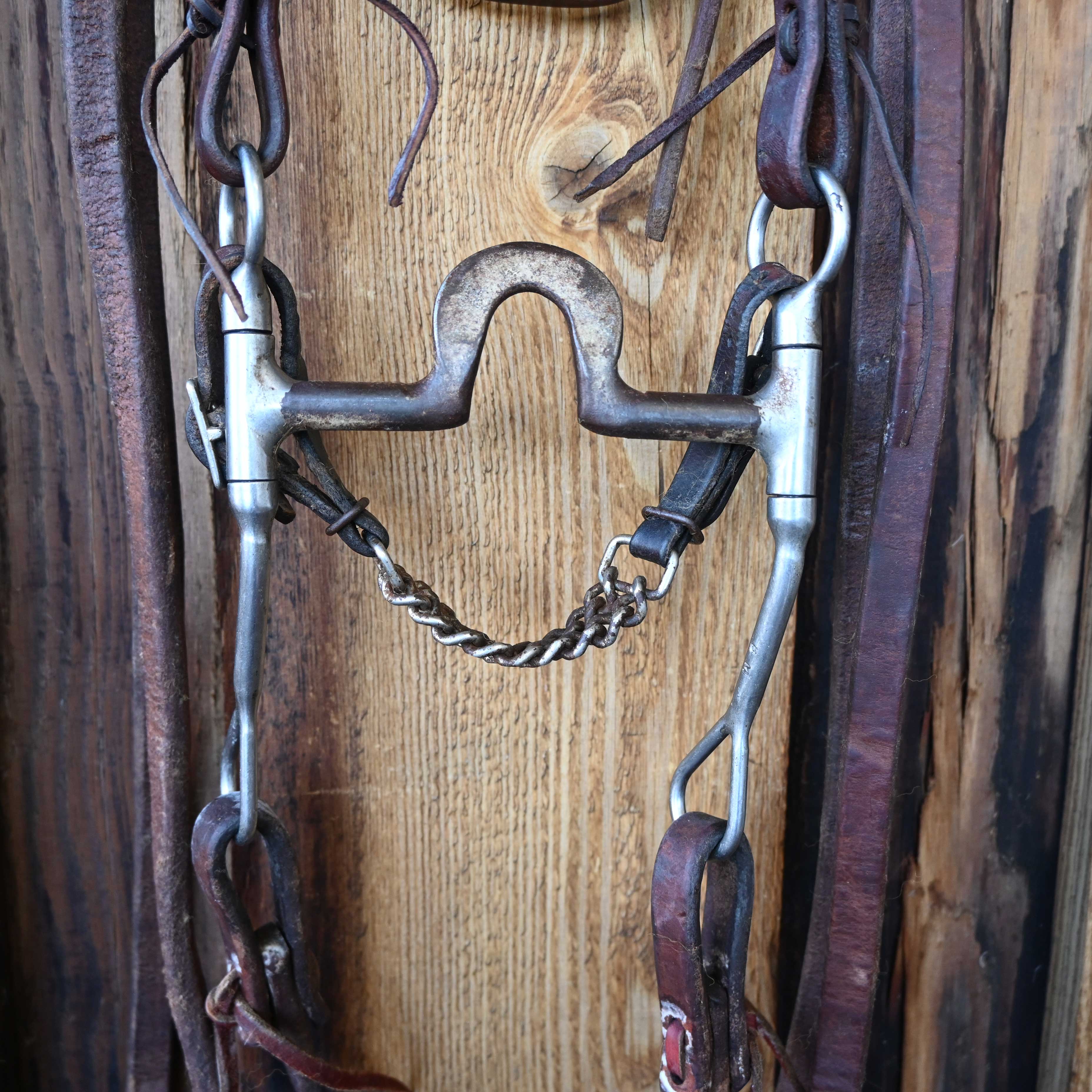 "BM" Flat Port Bridle Rig w/ Browband Headstall - Image 2
