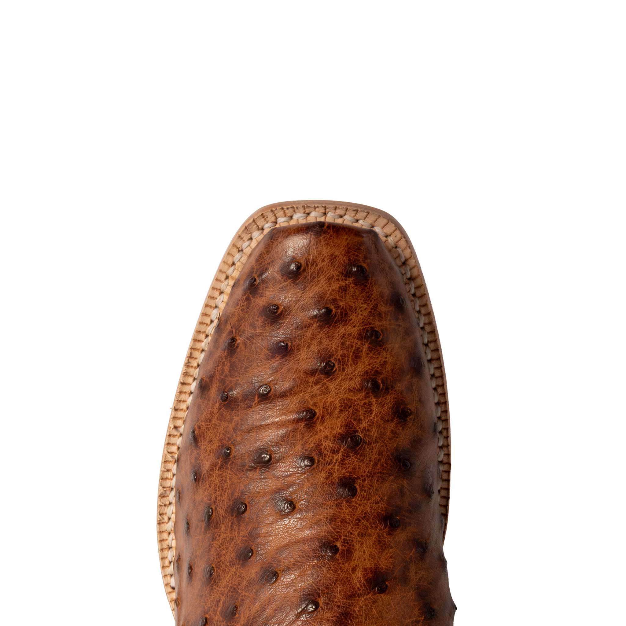 R. Watson Women's Brass Full Quill Midnight Western Boot - Image 2