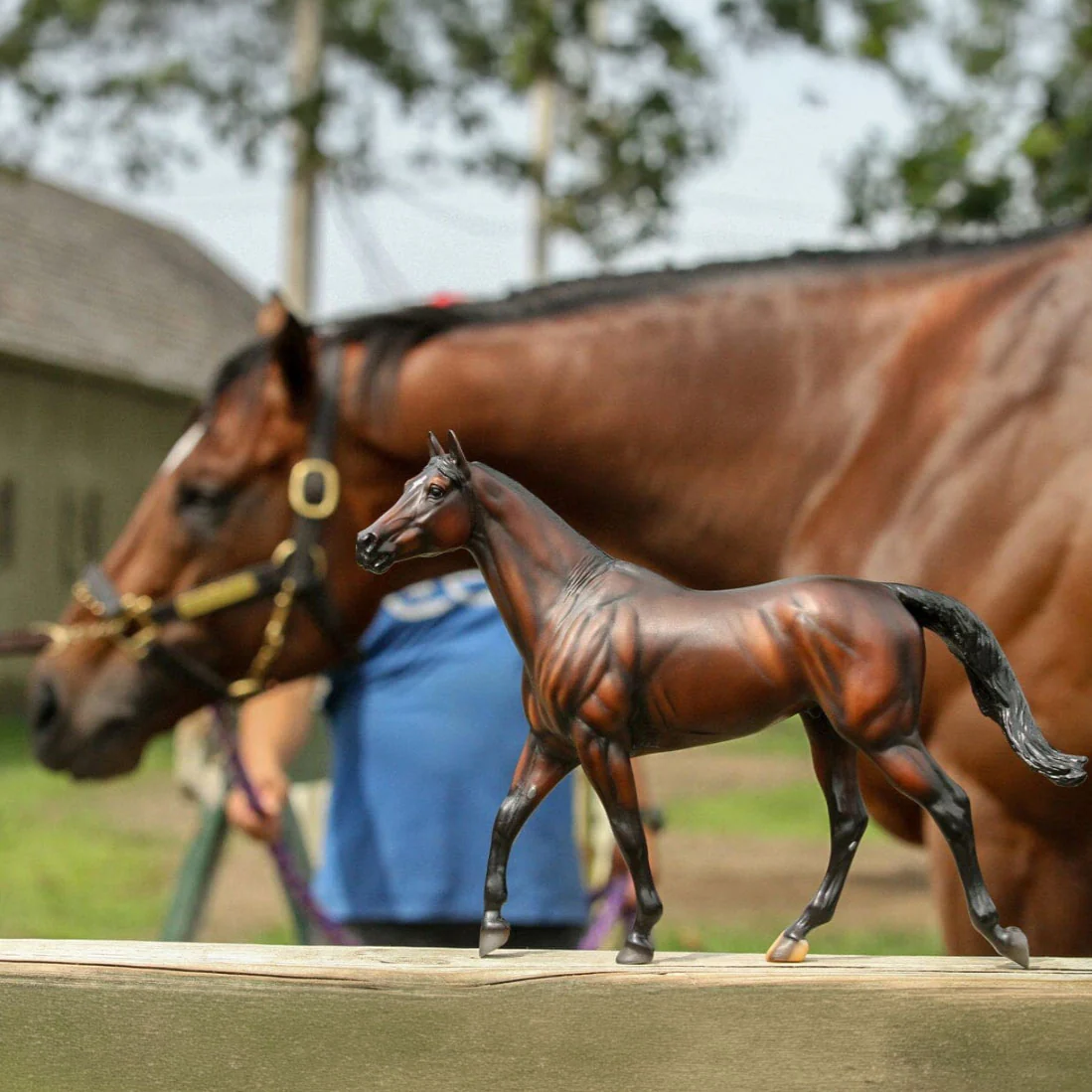 Breyer Cody's Wish - Image 2