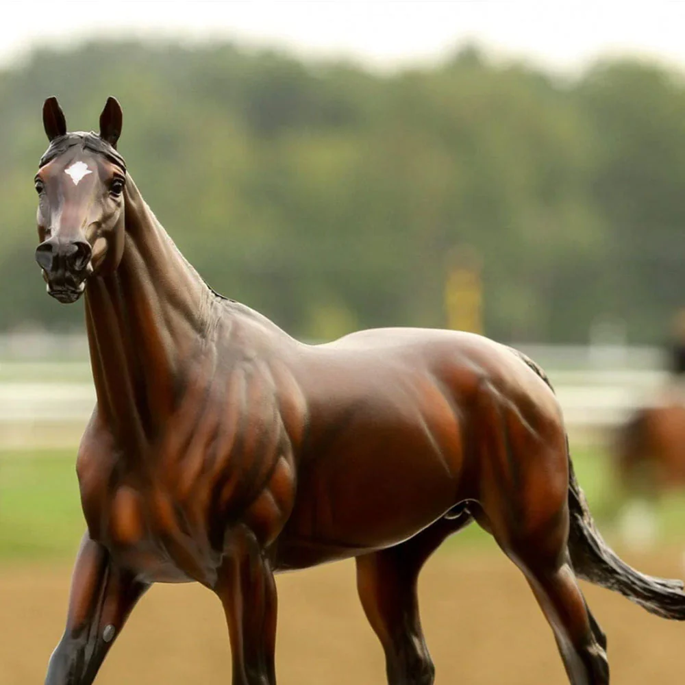 Breyer Cody's Wish - Image 4