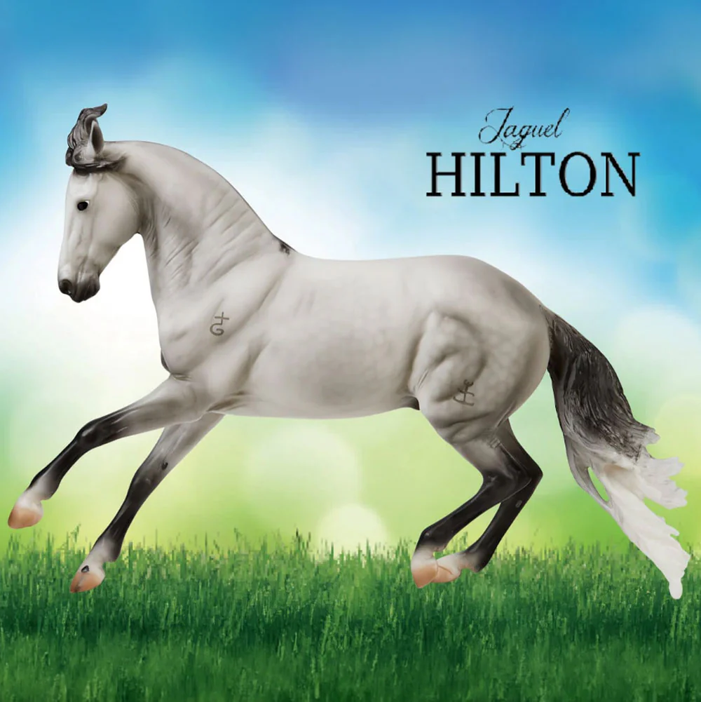 Breyer Jaguel Hilton | Criollo Stallion - Image 3