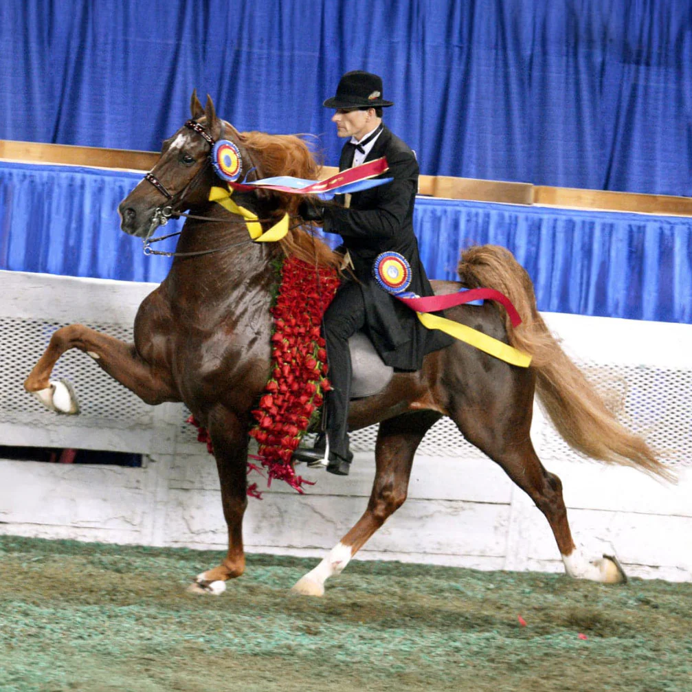 Breyer WGC Marc of Charm | Retired - Image 3