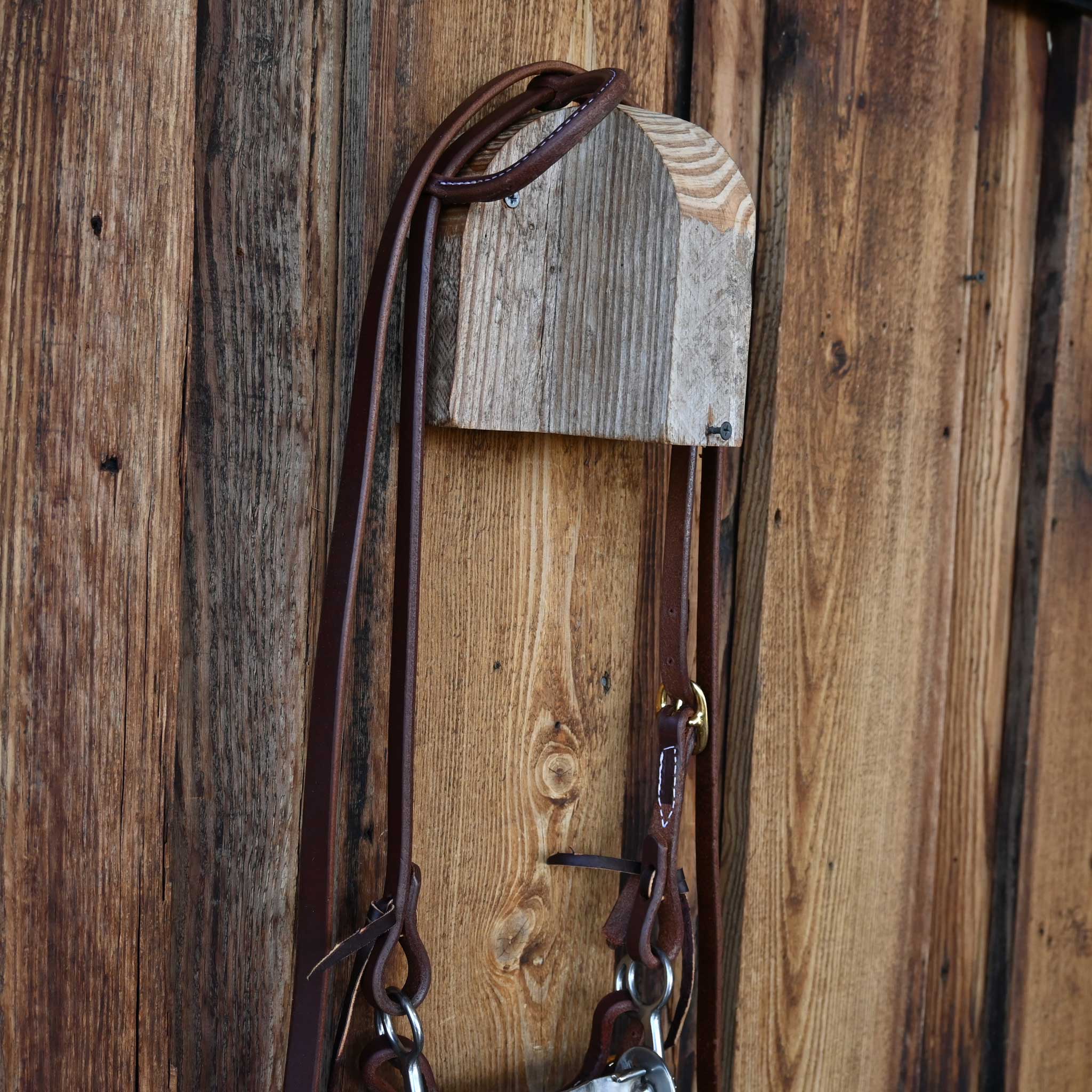 Bridle Rig w/All New Leather - Image 3