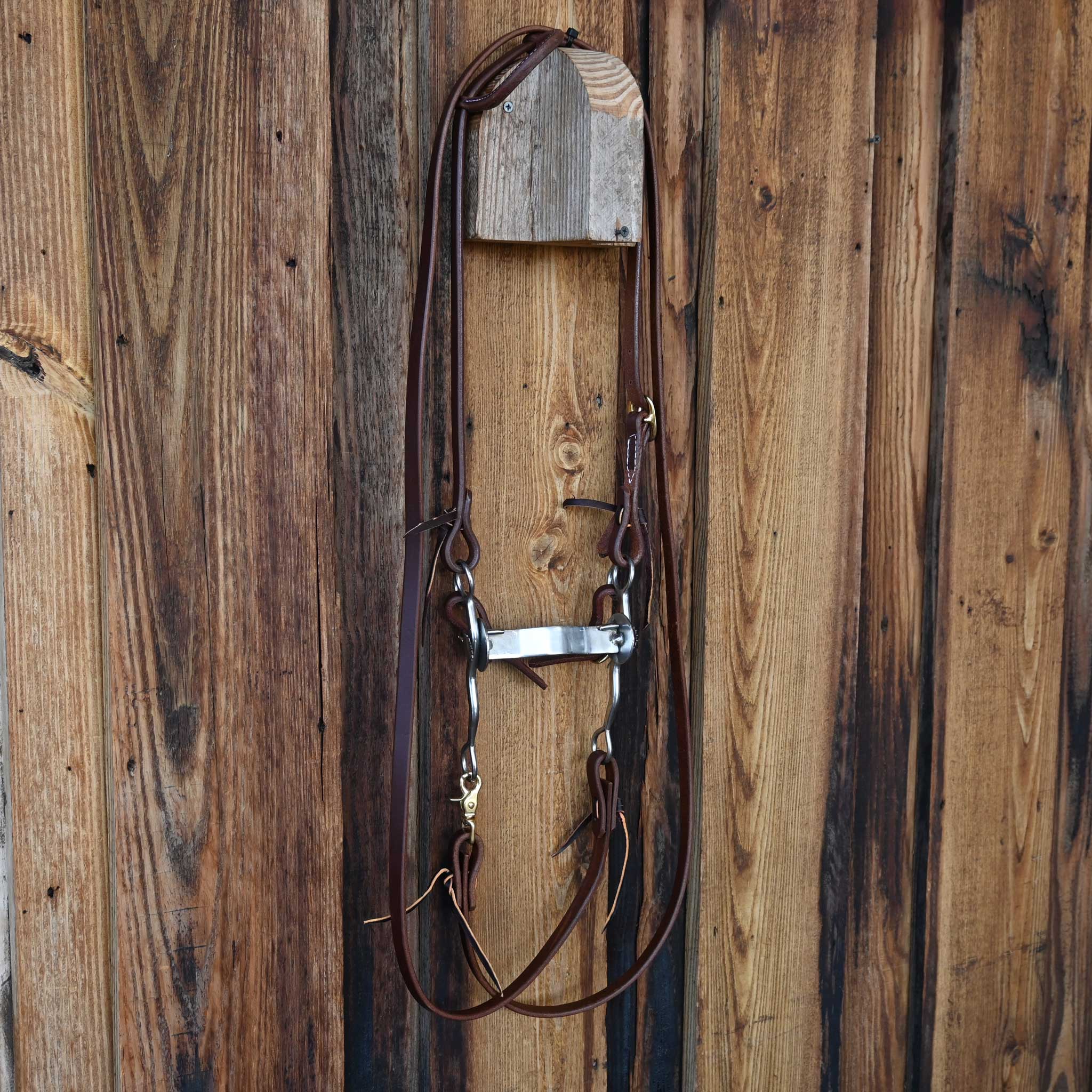 Bridle Rig w/All New Leather - Image 4