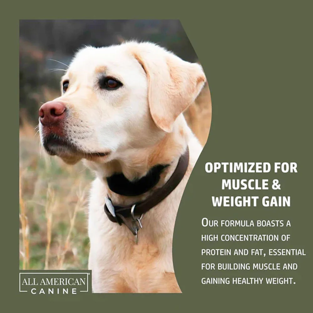 Bulk & Bark Weight Gainer + Digestive Aid Food Topper - Image 7