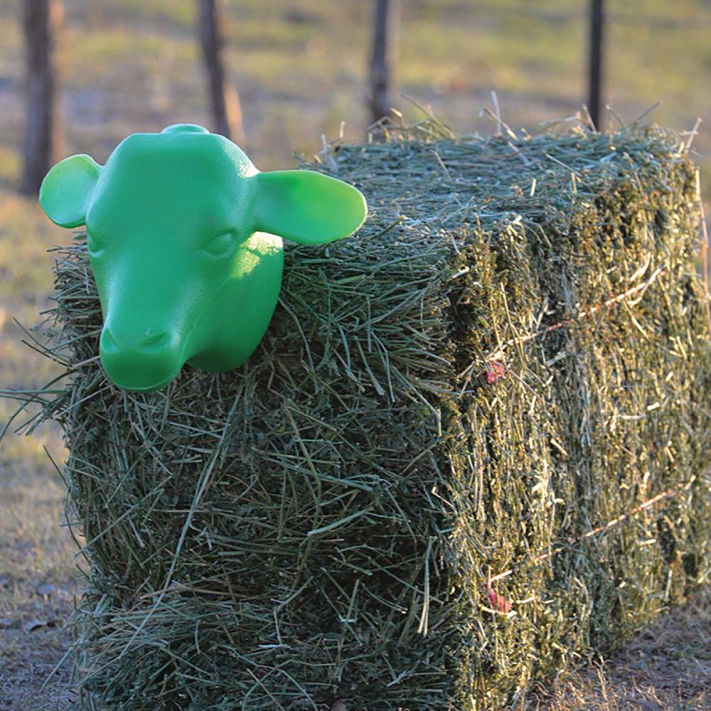 Rattler Calf Head - Image 4