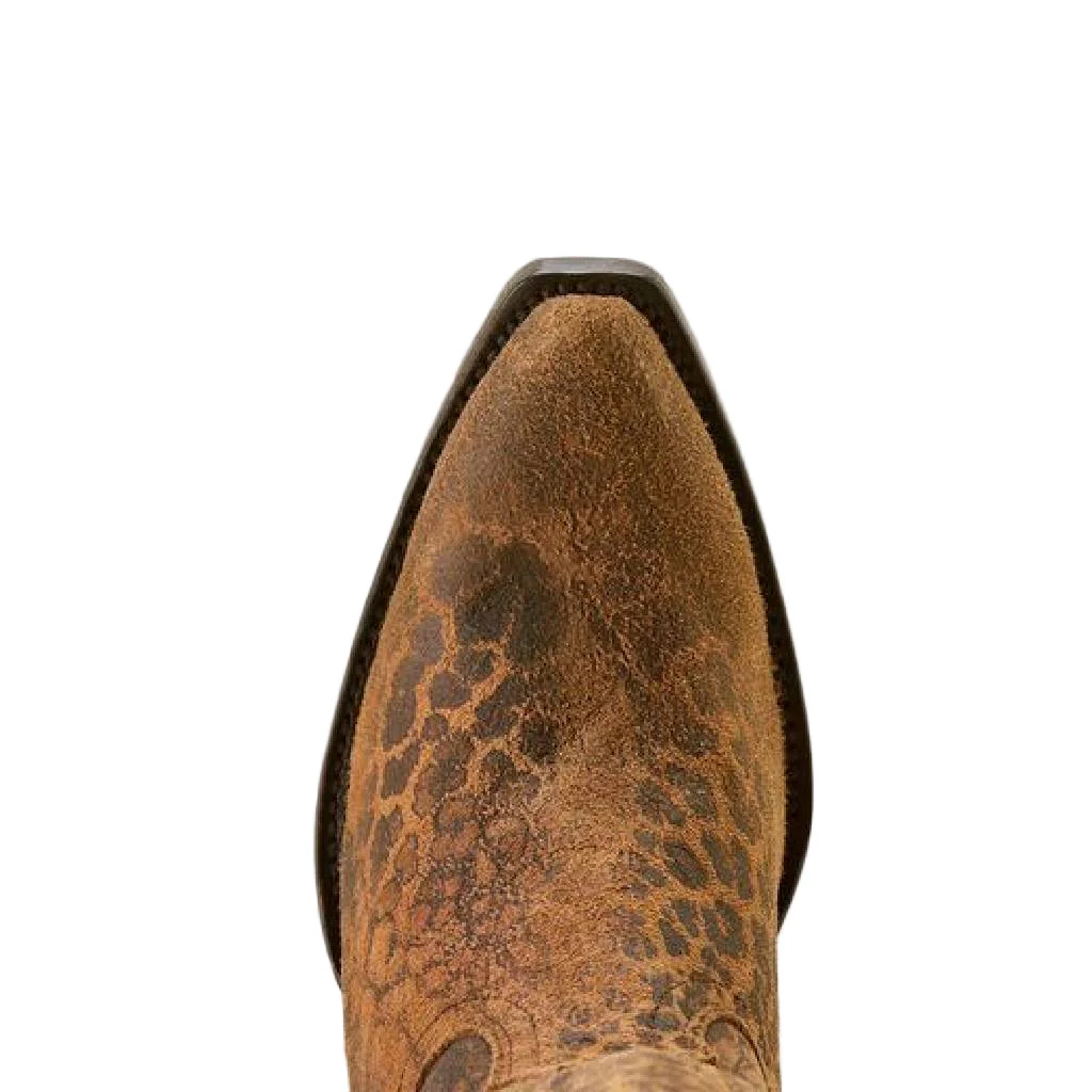 Ariat Women's Casanova X Toe Distressed Leopard Western Boot - Image 3