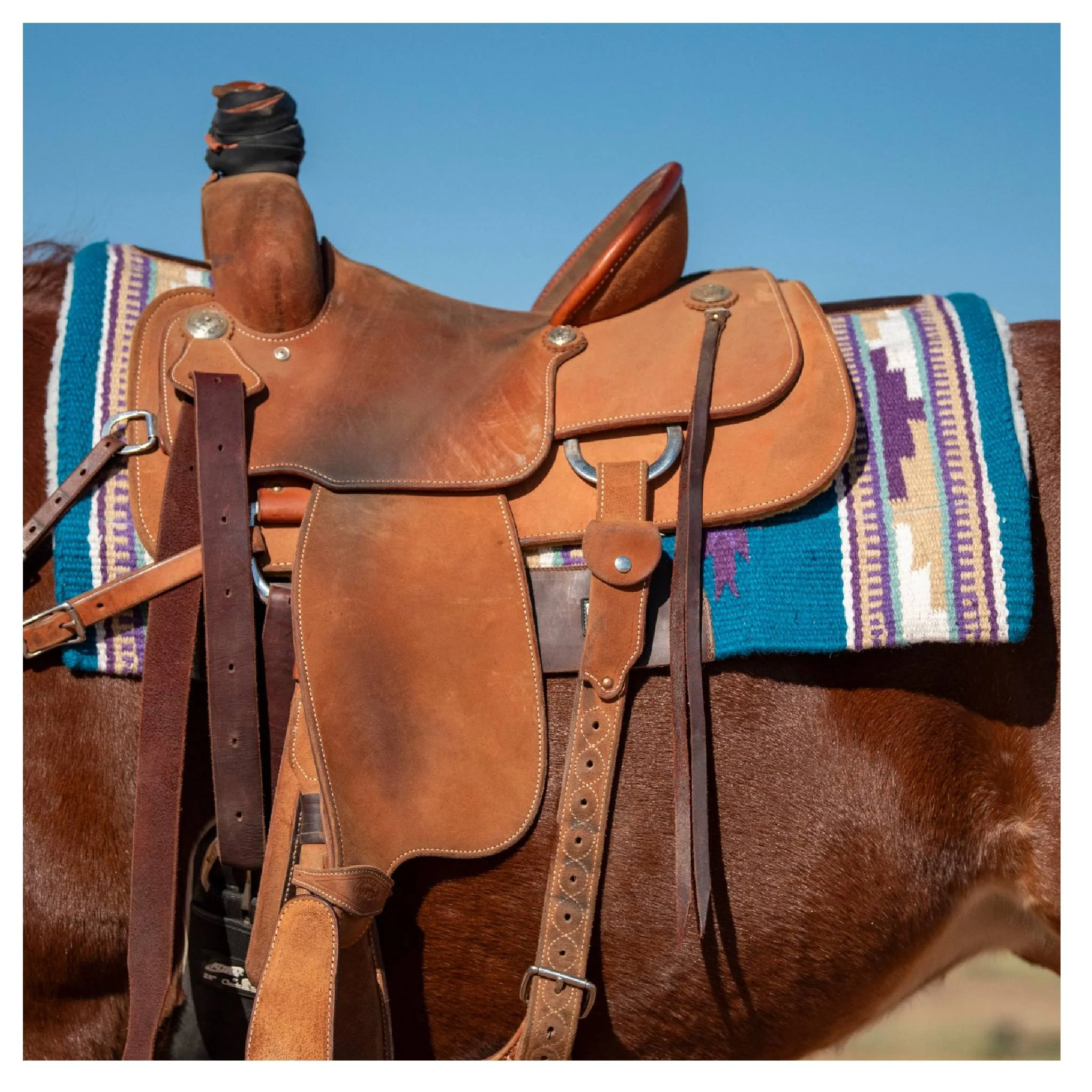 Cashel Blanket Top Performance 32"x34" Saddle Pad