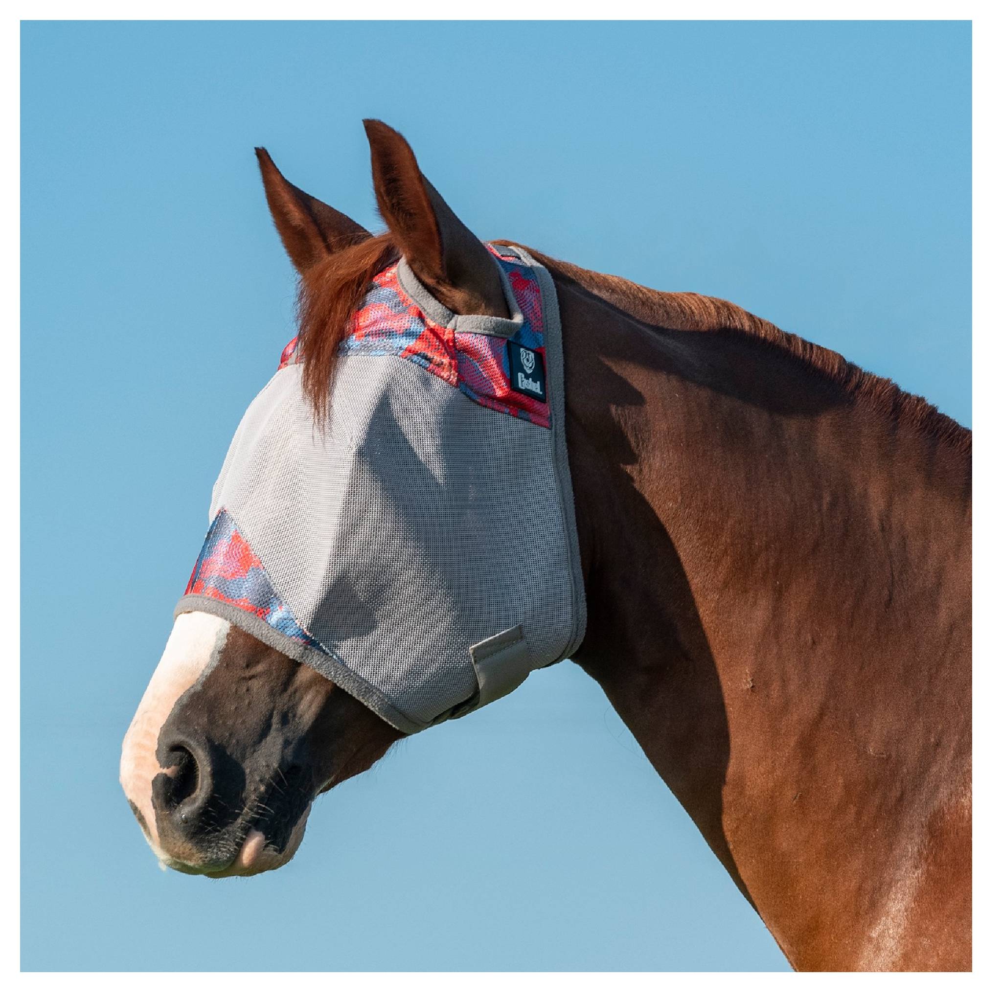 Cashel Crusader Patterned Fly Mask - Image 4