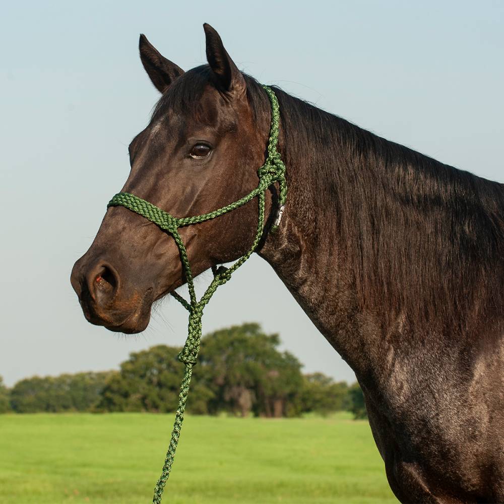 Cashel Flat Braid Halter with Lead - Image 10
