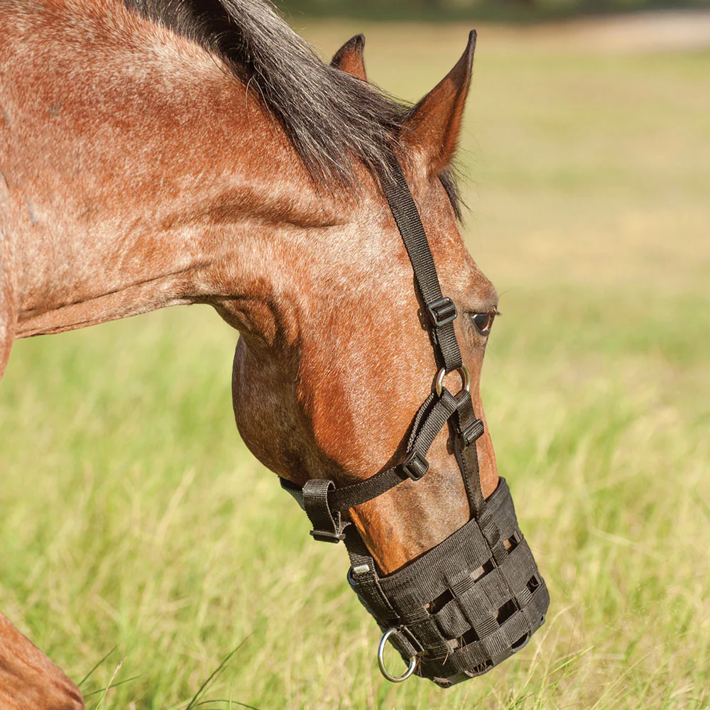 Cashel Grazing Muzzle Halter - Image 2