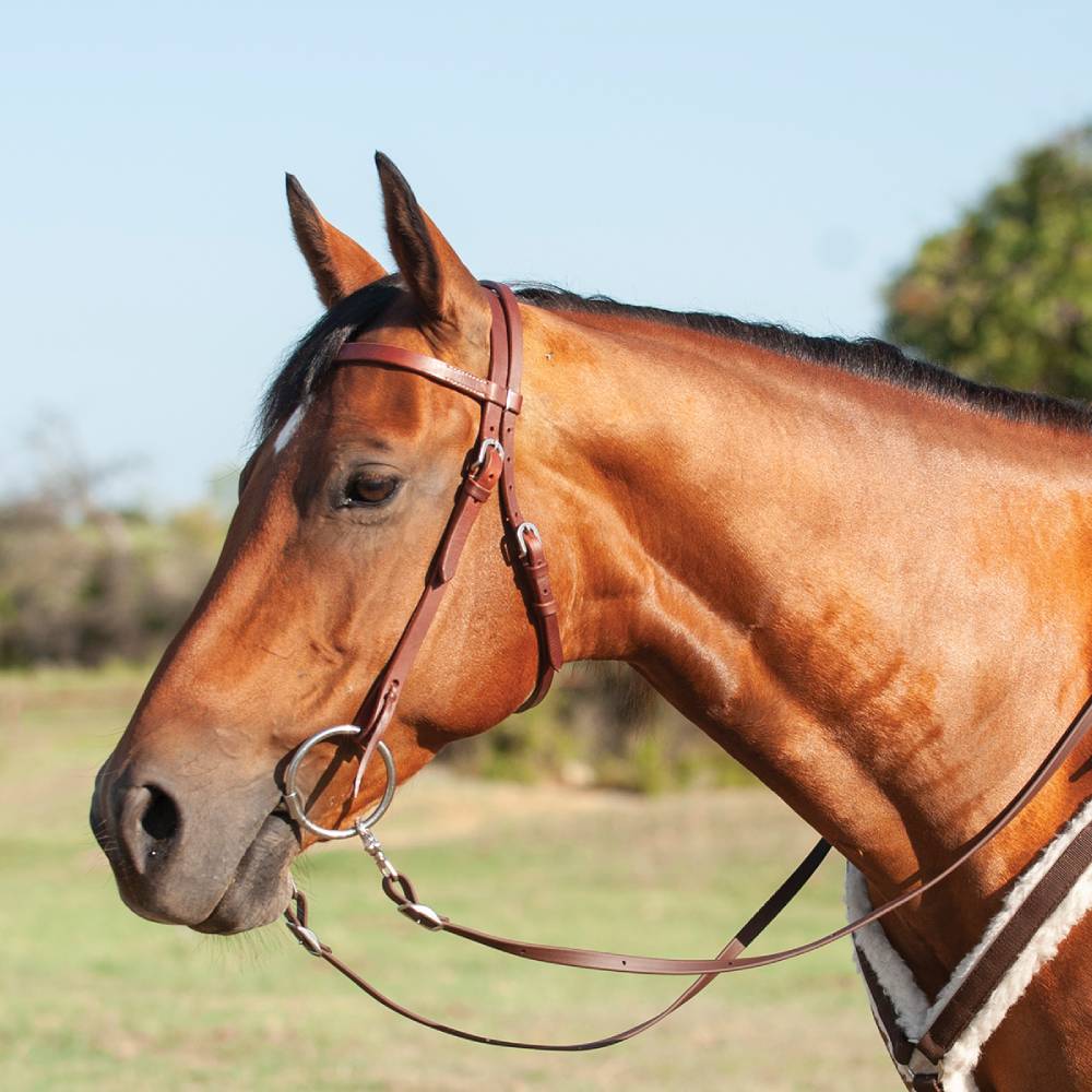 Cashel Harness Browband Headstall - Image 2