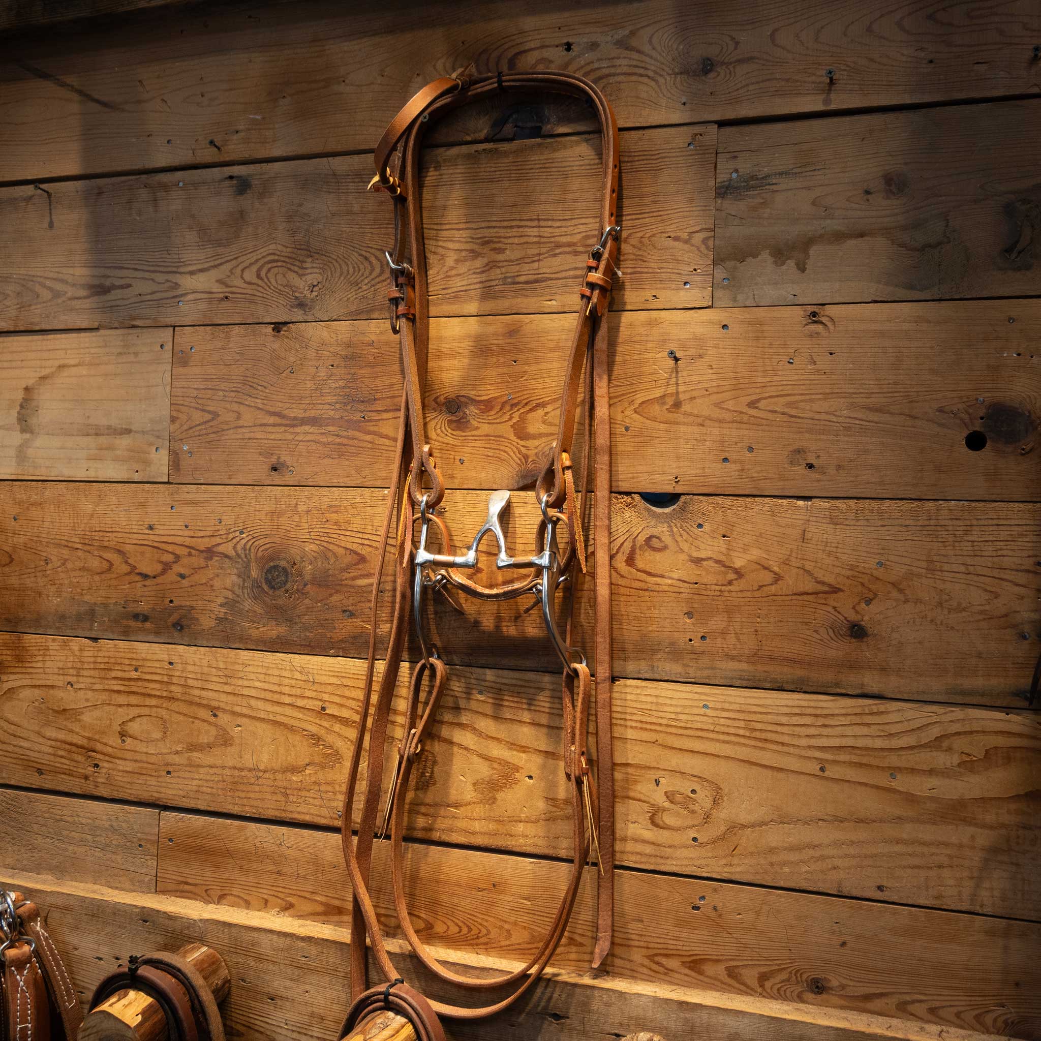 Cathedral Bridle Rig - Image 2