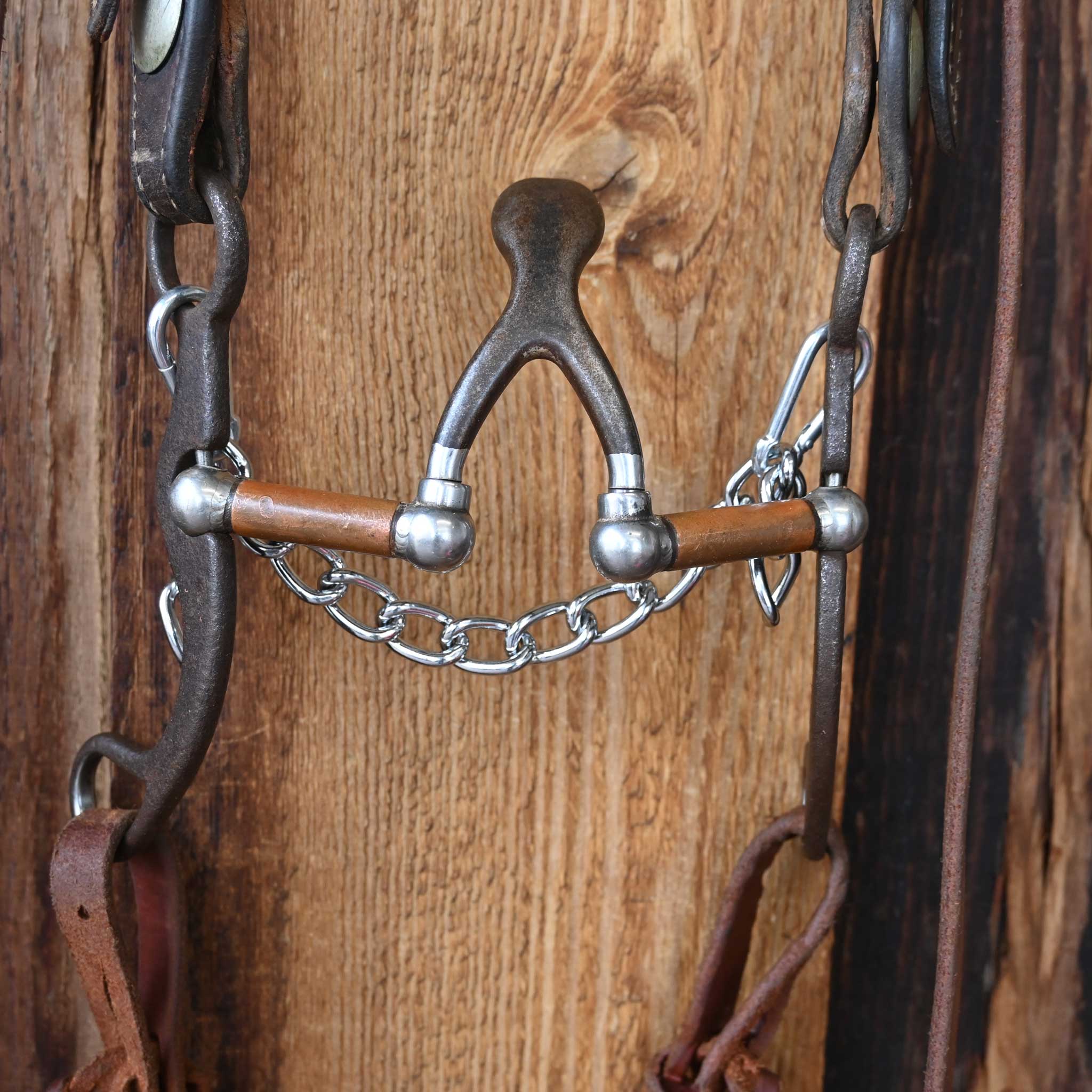 Cathedral Bridle Rig w/Split Headstall - Image 2