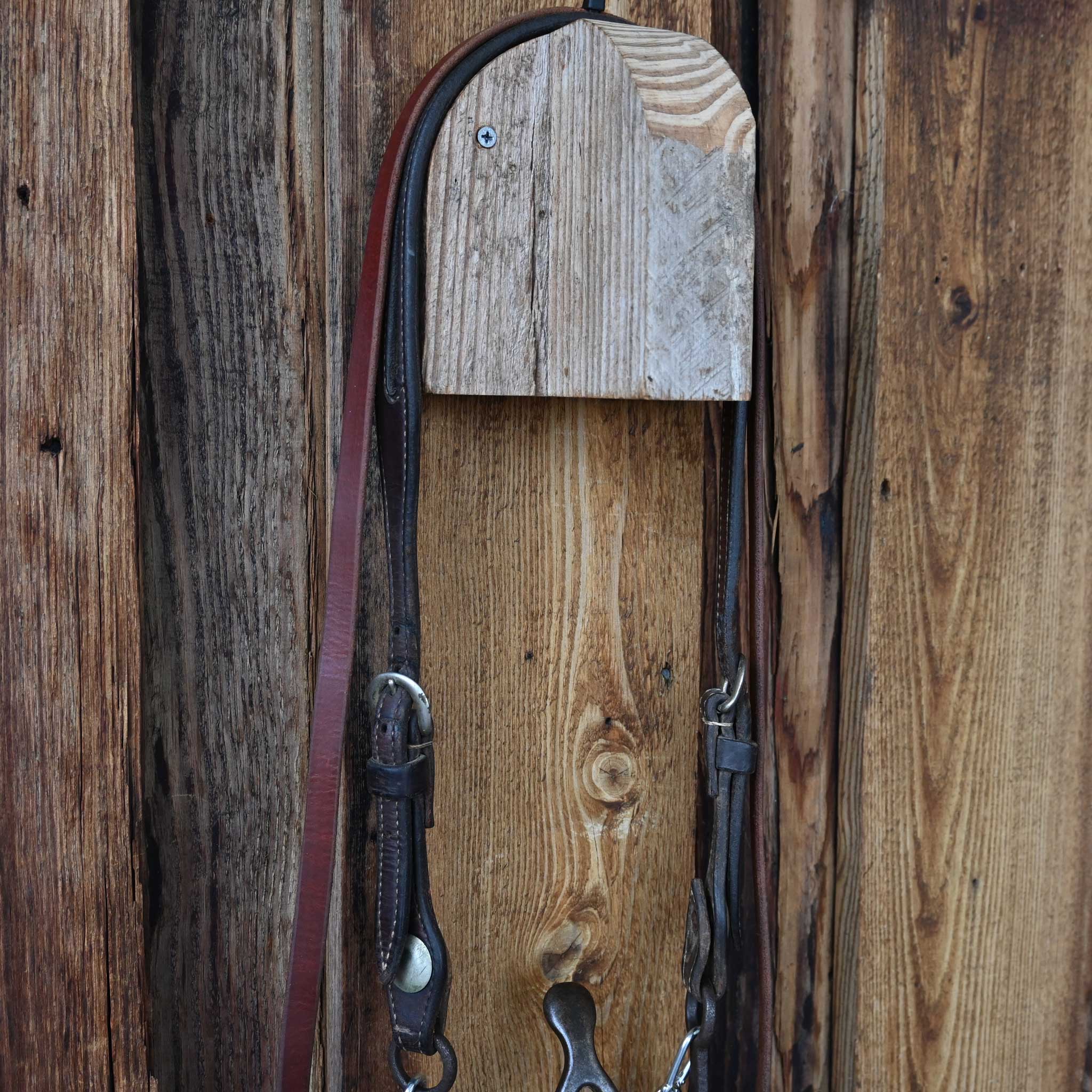 Cathedral Bridle Rig w/Split Headstall - Image 3