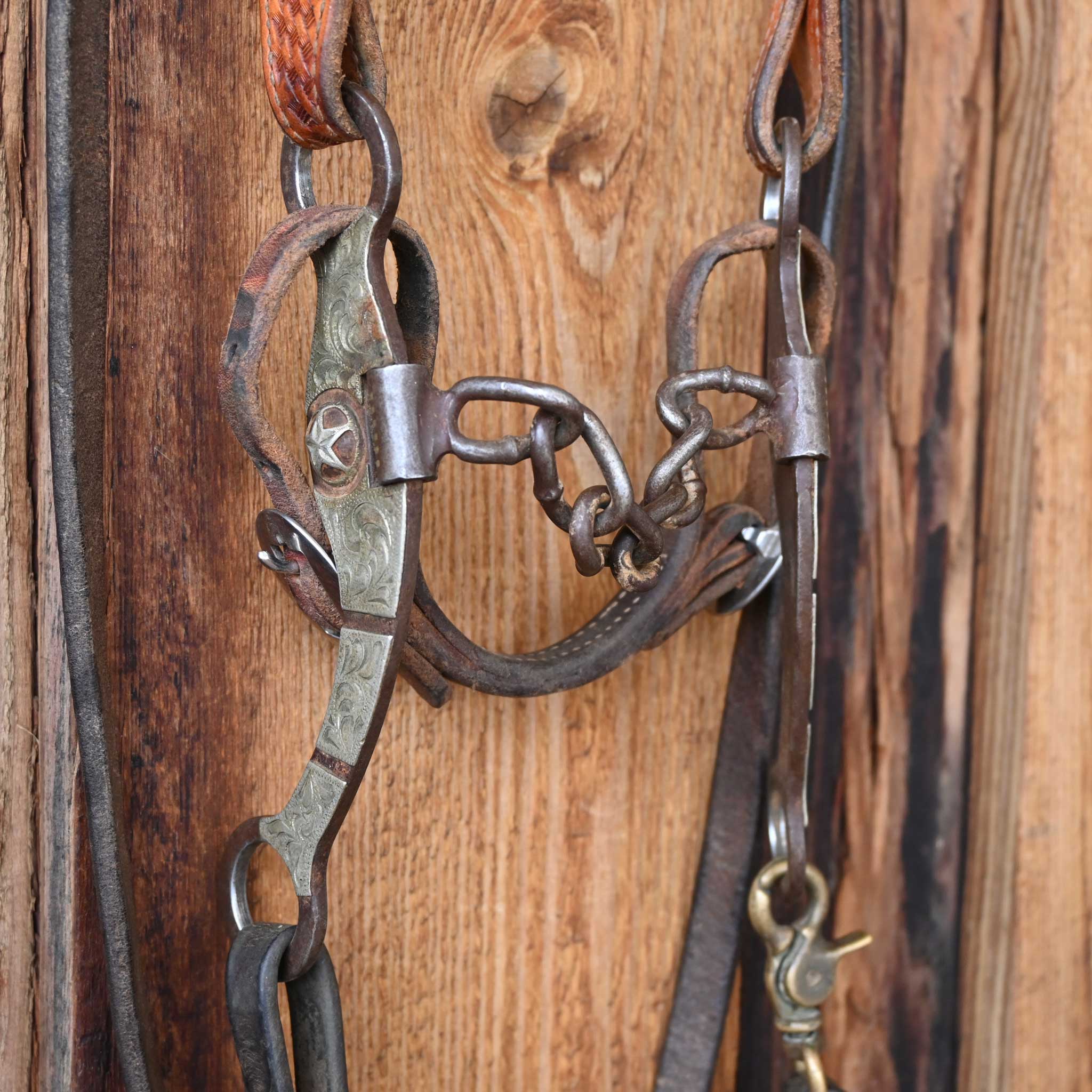 Chain Bridle Rig w/Single Ear Headstall