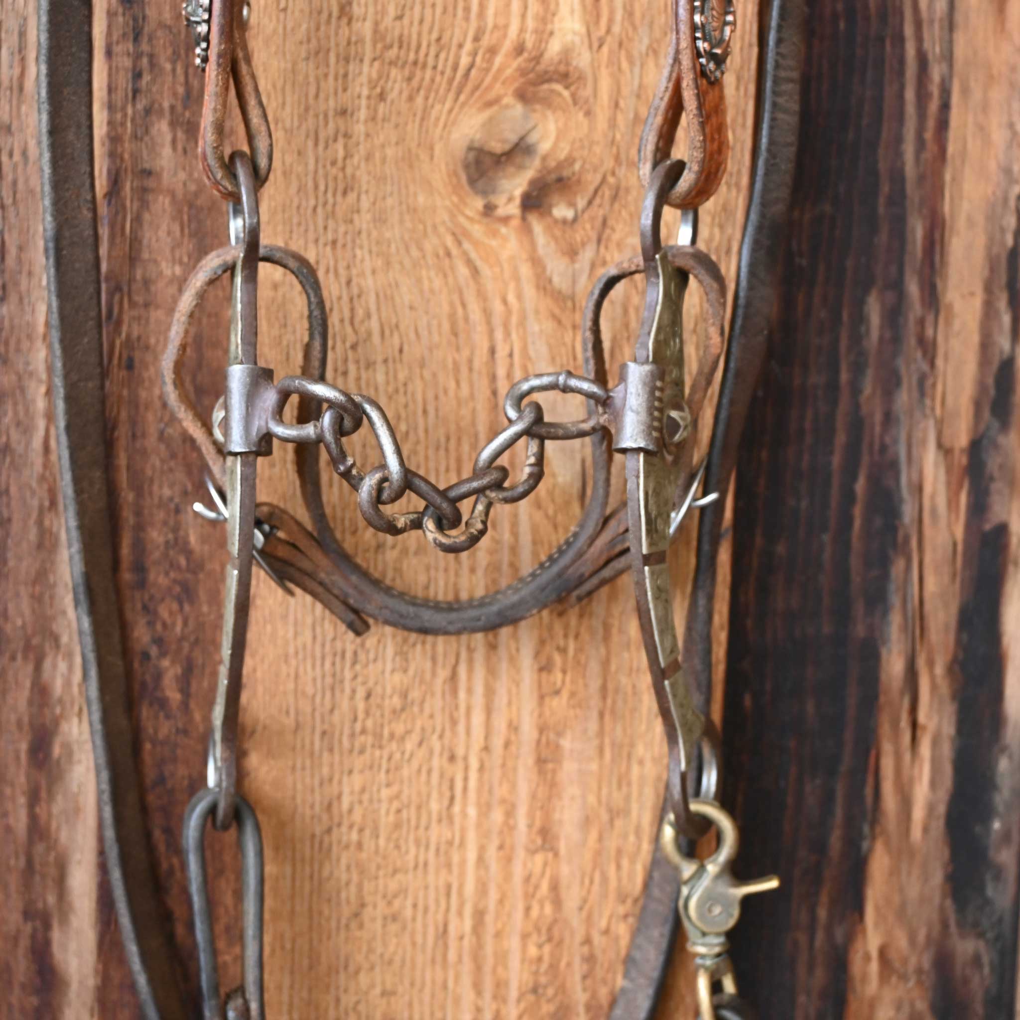 Chain Bridle Rig w/Single Ear Headstall - Image 2