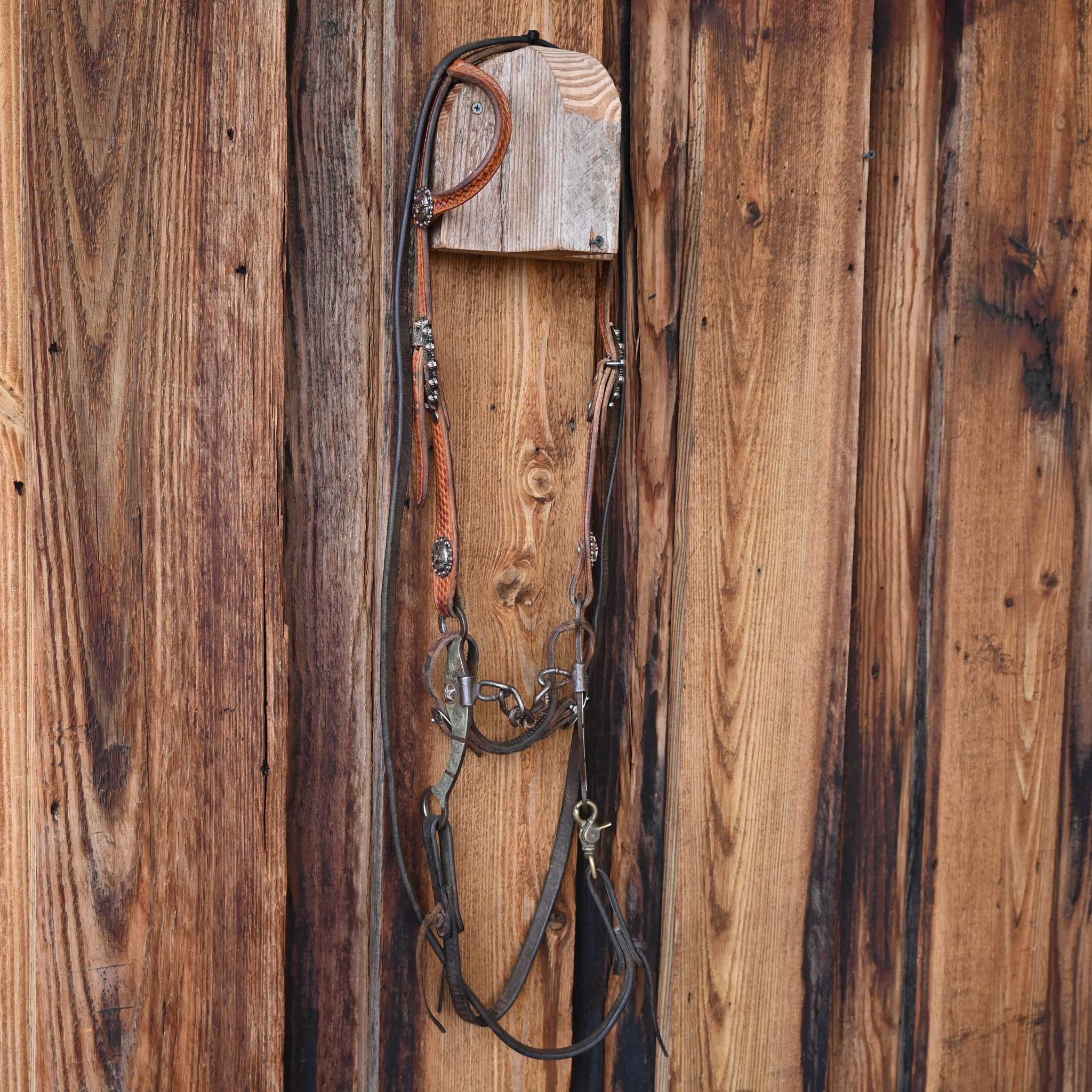 Chain Bridle Rig w/Single Ear Headstall - Image 4