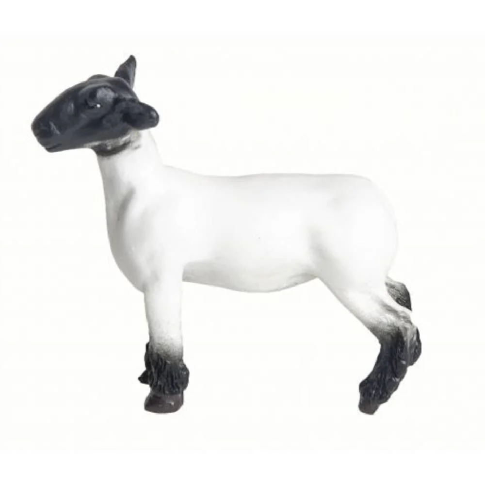 Champion Crossbred Market Lamb - Image 2