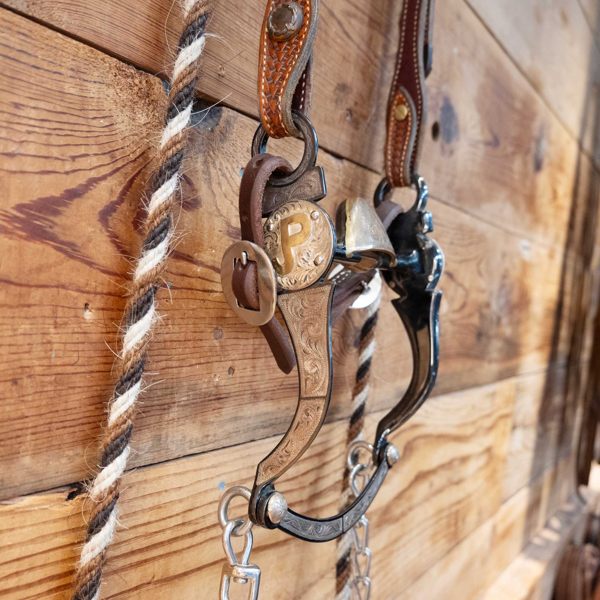 JT Silversmith Copper Hooded Port Bridle Rig - Image 2