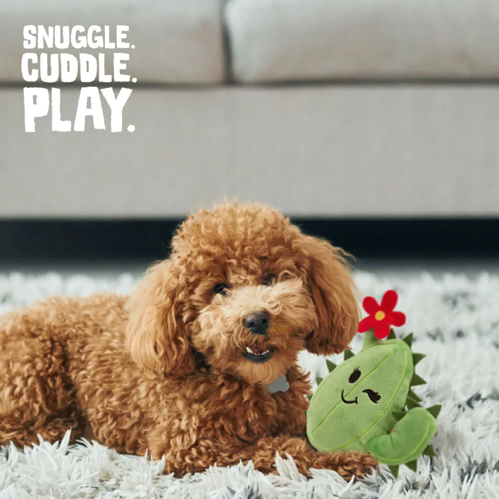 Chloe the Cactus - Merry Chloe - Image 5