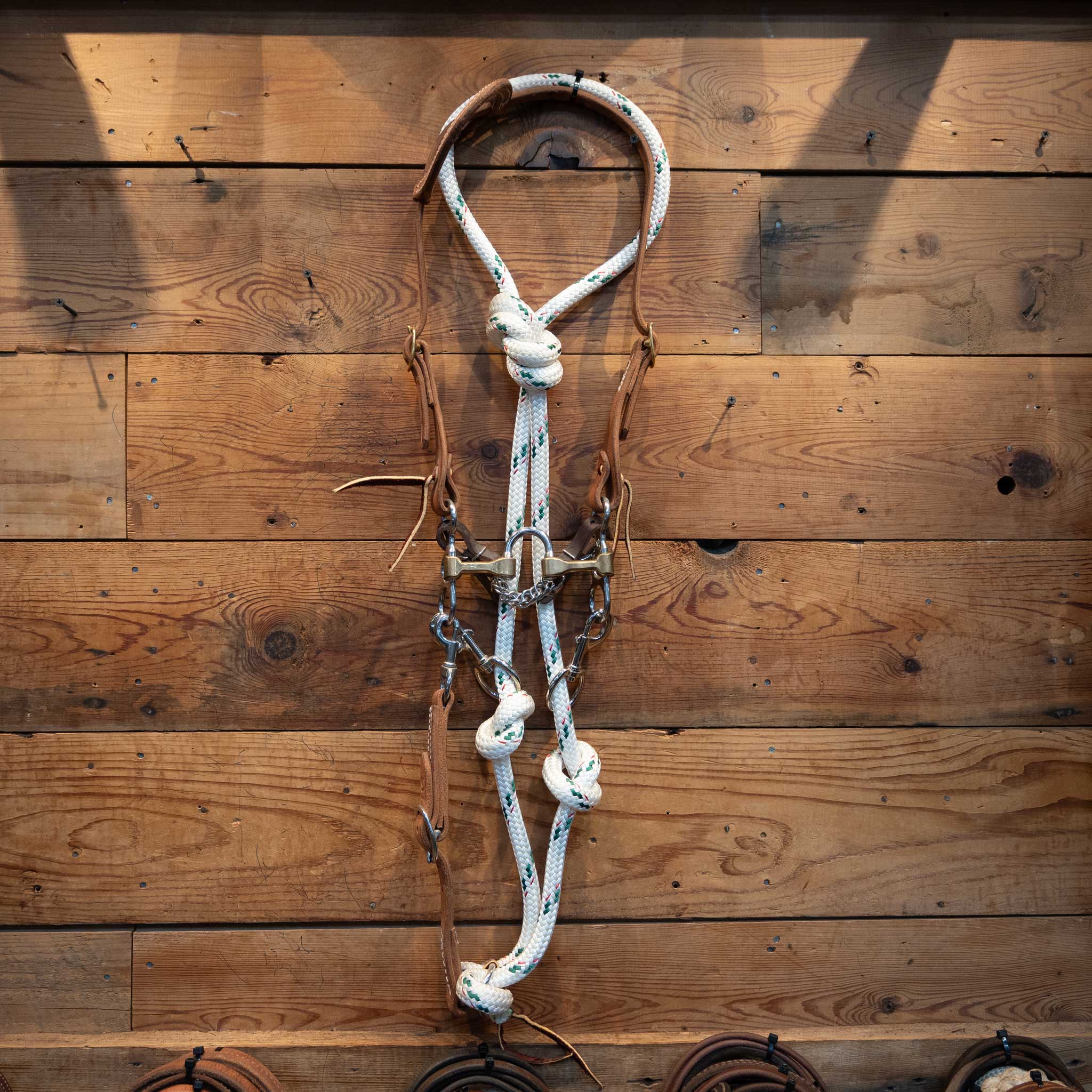 CHS Correction w/ Draw Reins Bridle Rig - Image 2