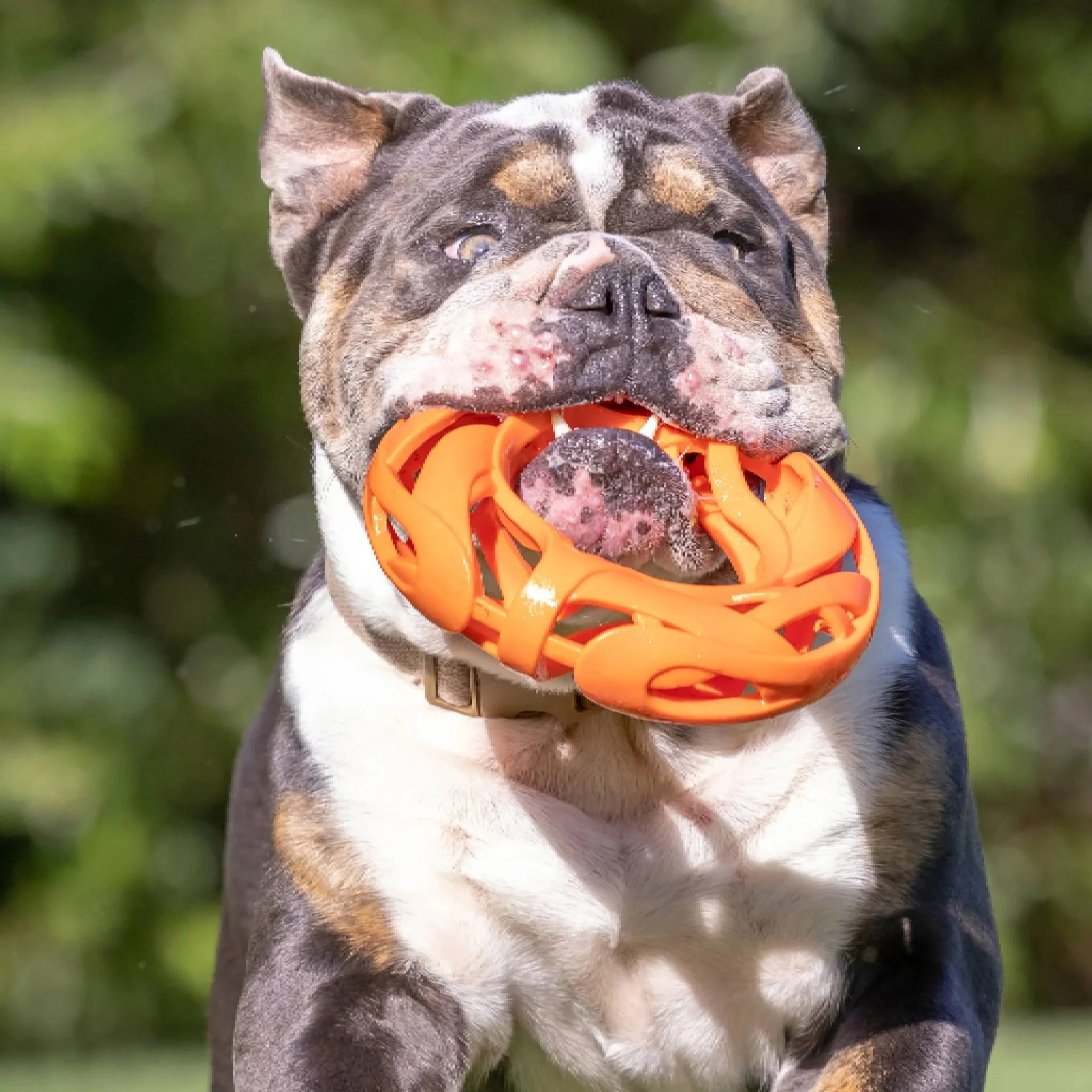 Chuckit! Air Fetch Football Dog Toy - Image 2