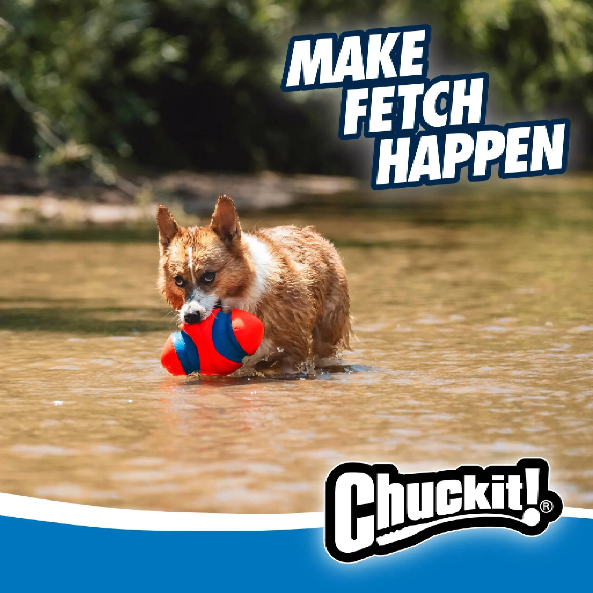 Chuckit! Fumble Fetch - Image 4
