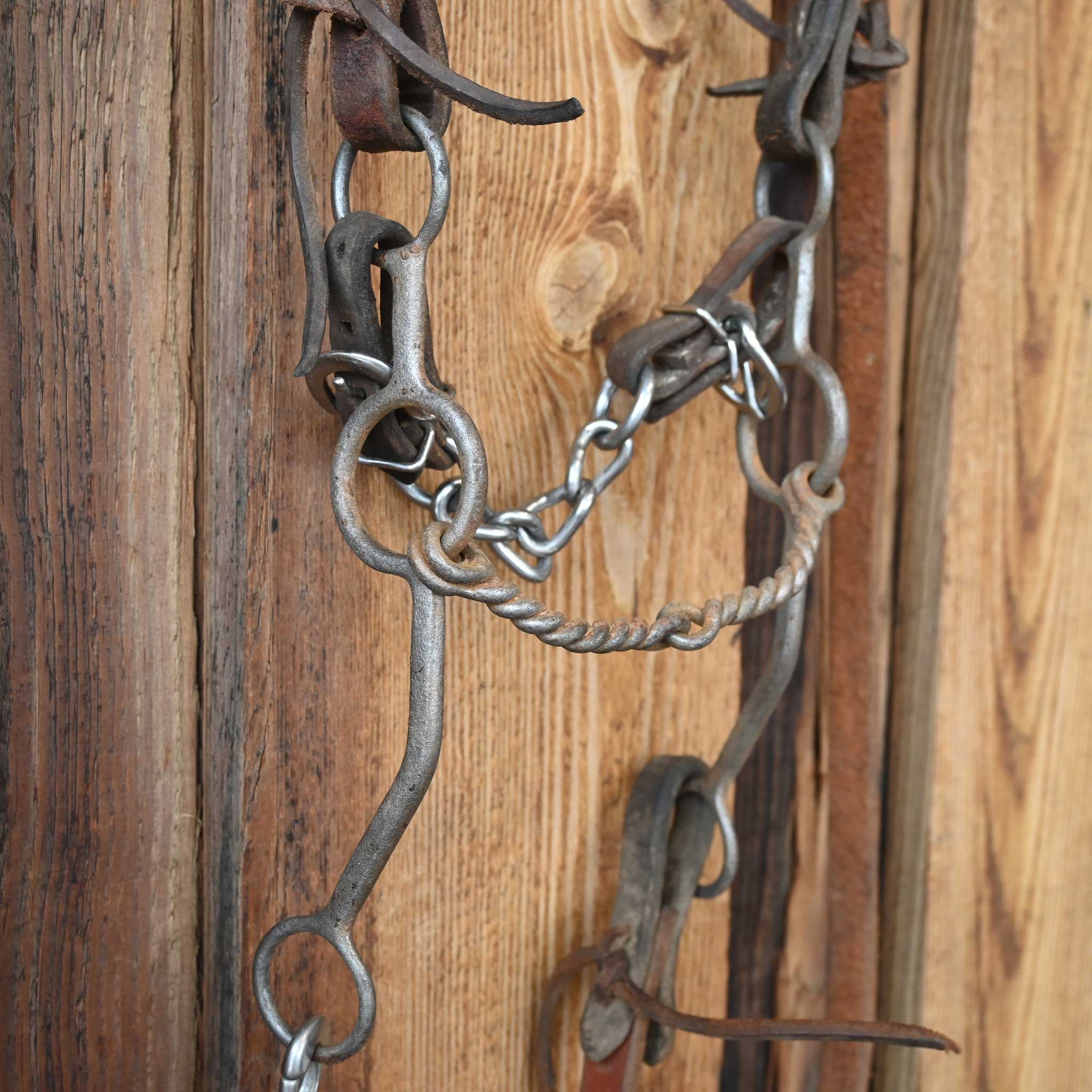 Cirlce Gag Twisted Wire Snaffle Bridle Rig w/Split Ear Headstall