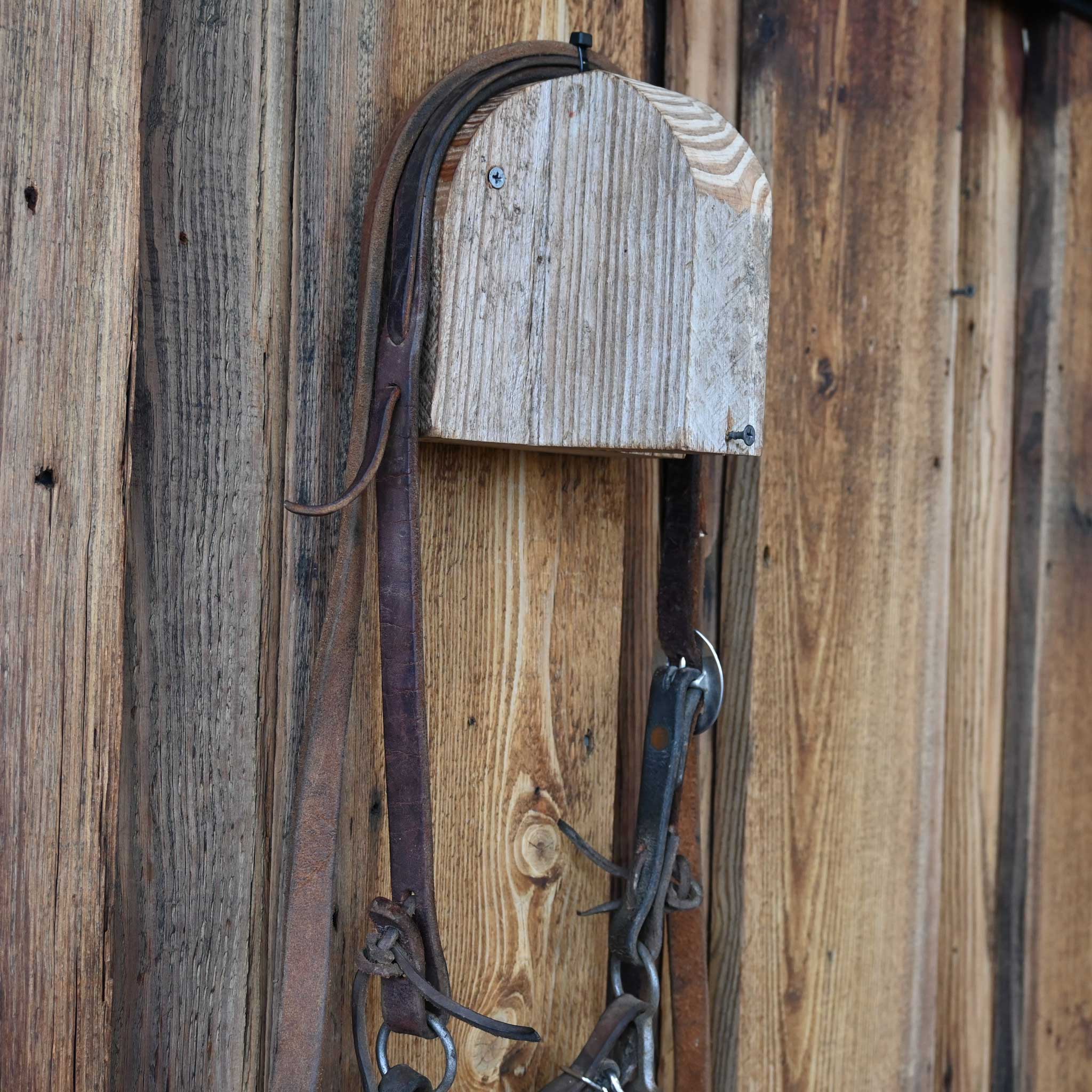 Cirlce Gag Twisted Wire Snaffle Bridle Rig w/Split Ear Headstall - Image 3