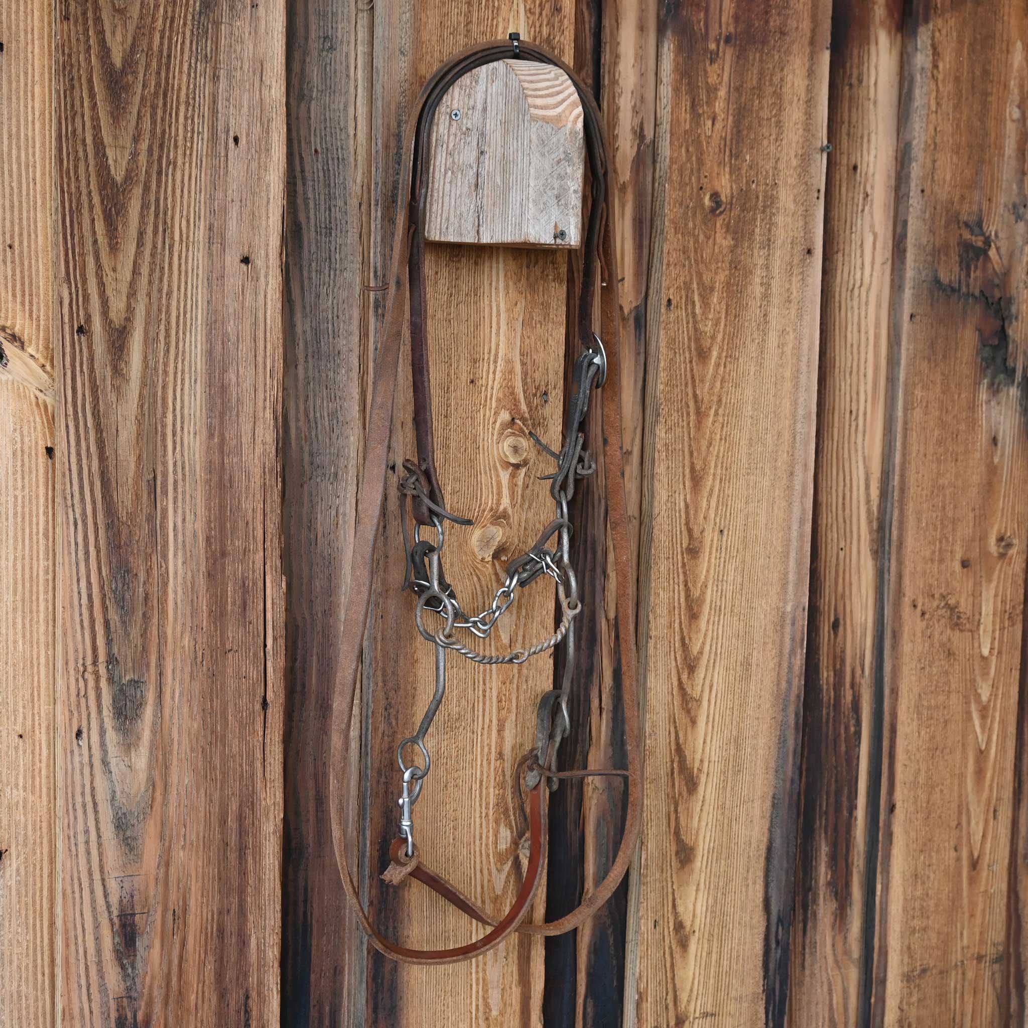 Cirlce Gag Twisted Wire Snaffle Bridle Rig w/Split Ear Headstall - Image 4